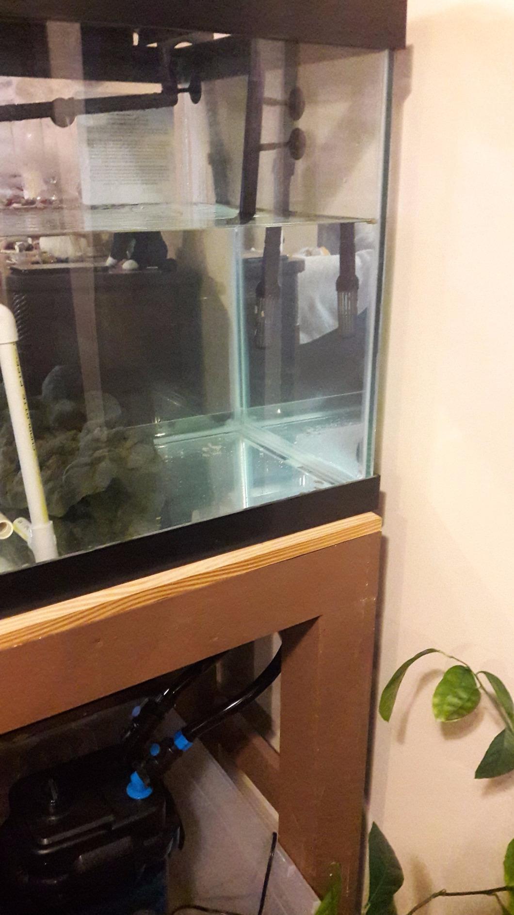 Penn-Plax Cascade 700 Canister Filter - 185 GPH Aquarium Filter for Tanks Up to 65 Gallons - 360 Degree Flow Valves, Poly Fiber Pads, Bio-Sponge & Activated Carbon -Fresh & Saltwater - 11x10x15in customer photo 1