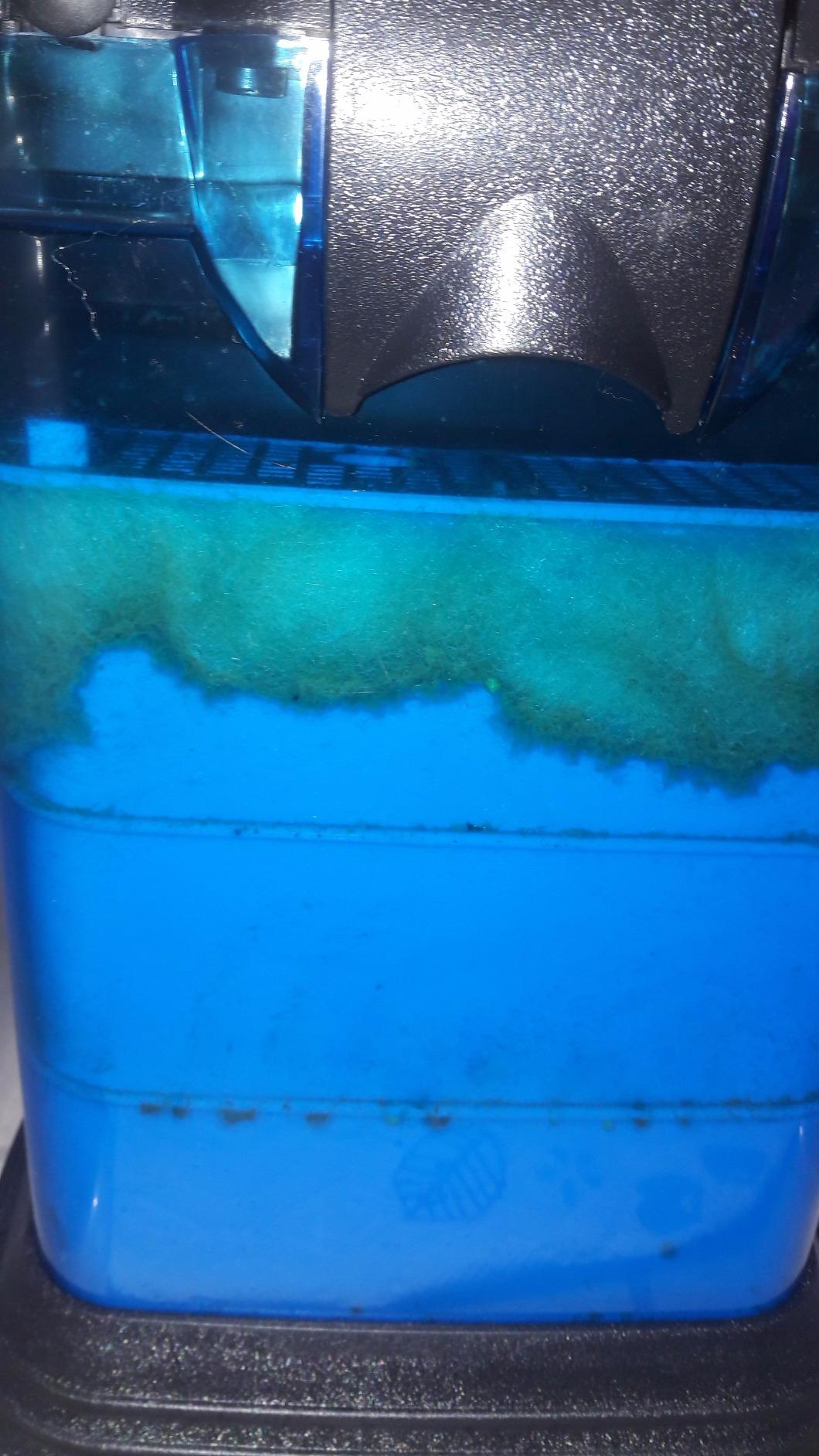 Penn-Plax Cascade 700 Canister Filter - 185 GPH Aquarium Filter for Tanks Up to 65 Gallons - 360 Degree Flow Valves, Poly Fiber Pads, Bio-Sponge & Activated Carbon -Fresh & Saltwater - 11x10x15in customer photo 2