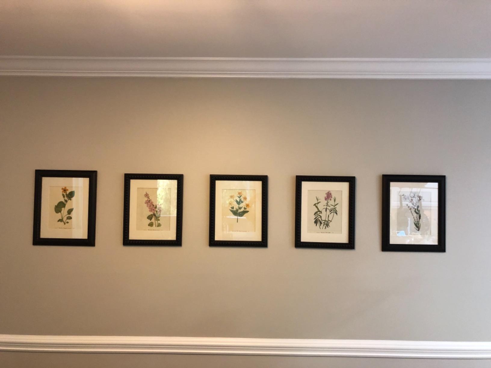 BLACK+DECKER Line Laser, Auto-leveling with Stud Finder (BDL190S) customer photo 2