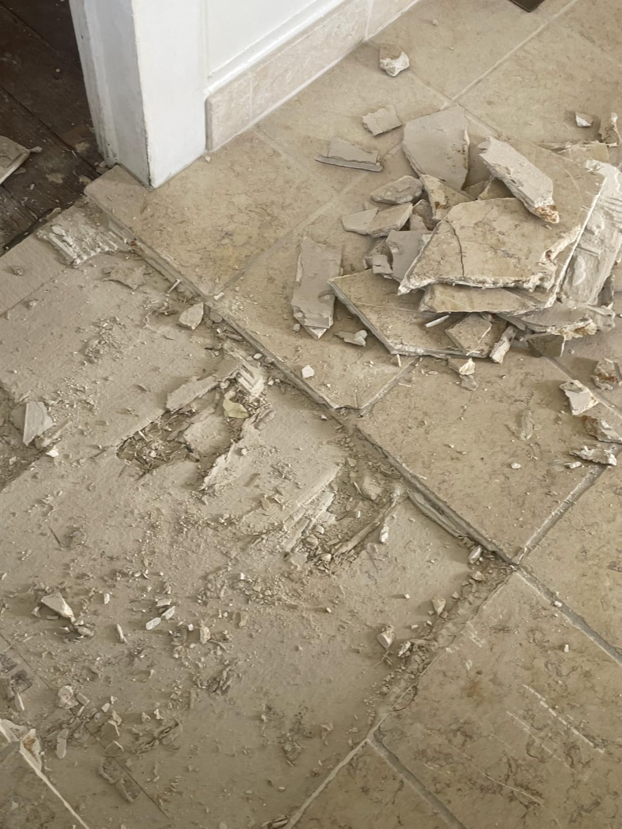 BOSCH 11255VSR Bulldog Xtreme 8 Amp 1 Inch Corded Variable Speed SDS-Plus Concrete/Masonry Rotary Hammer customer photo 1