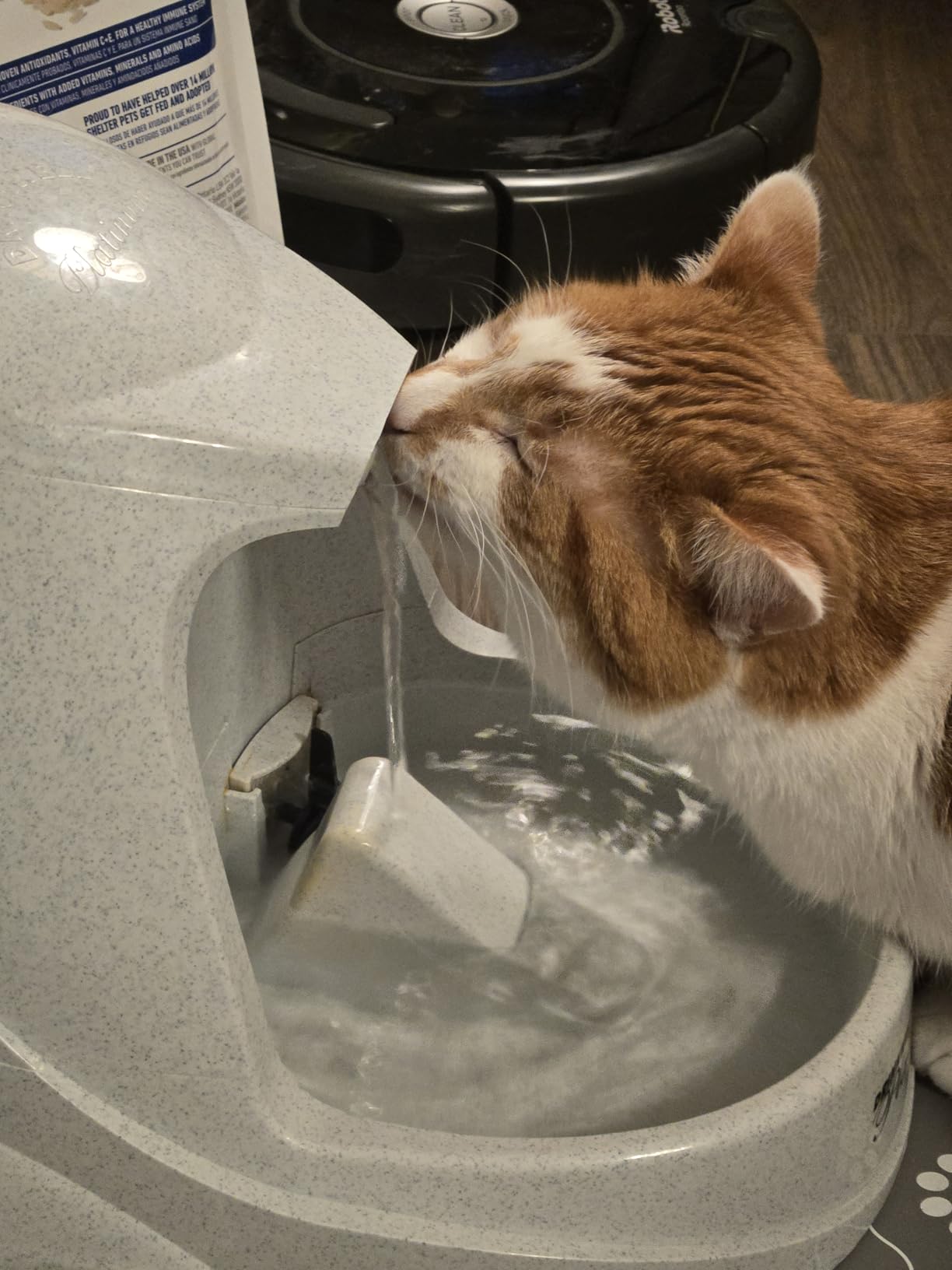 PetSafe Drinkwell Platinum Pet Fountain - Supports Healthy Hydration - Encourages Drinking - Carbon Filter Removes Odors - Adjustable Stream - BPA-Free - Large Water Capacity - Easy to Clean - 168 oz customer photo 1