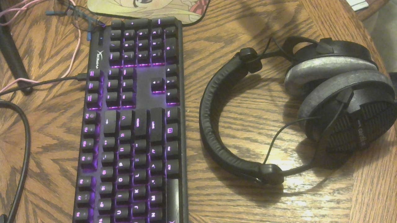 beyerdynamic DT 990 Pro 250 ohm Over-Ear Studio Headphones for Mixing, Mastering, and Editing customer photo 1