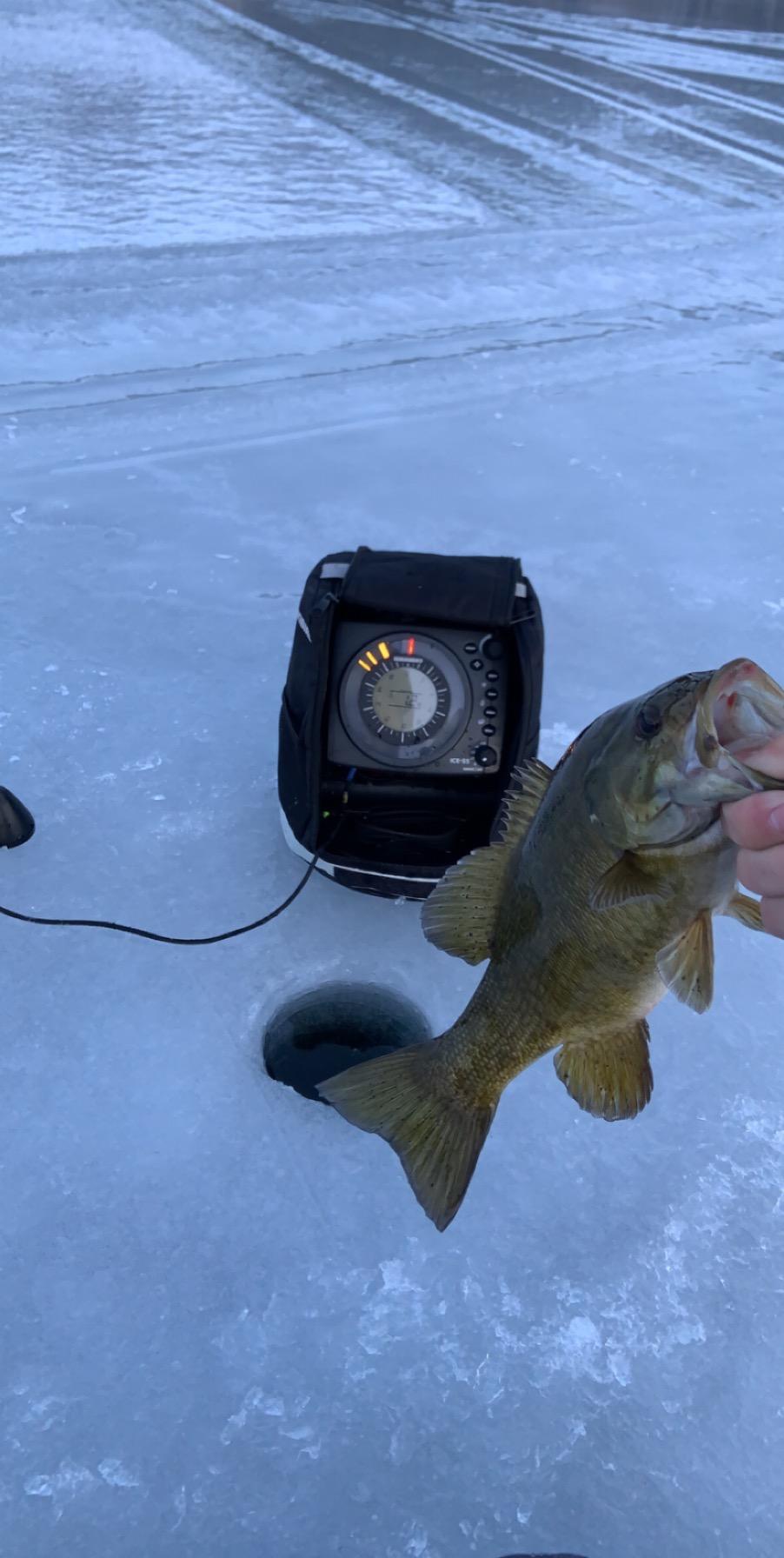 Humminbird ICE 55 Flasher Ice Fishing Fish Finder with Transducer & 6-Color Fiber Optic Display customer photo 1