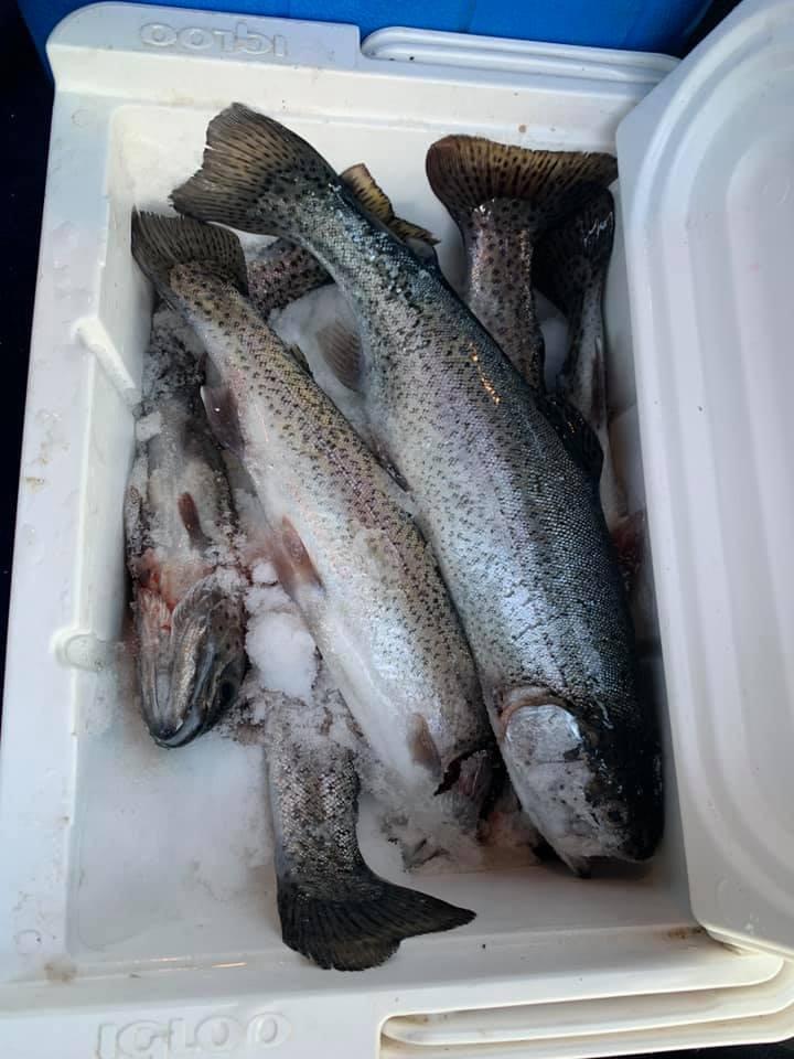 Vexilar FL-8se Genz Pack with 19 Degree Ice Flasher - GP0819 customer photo 1