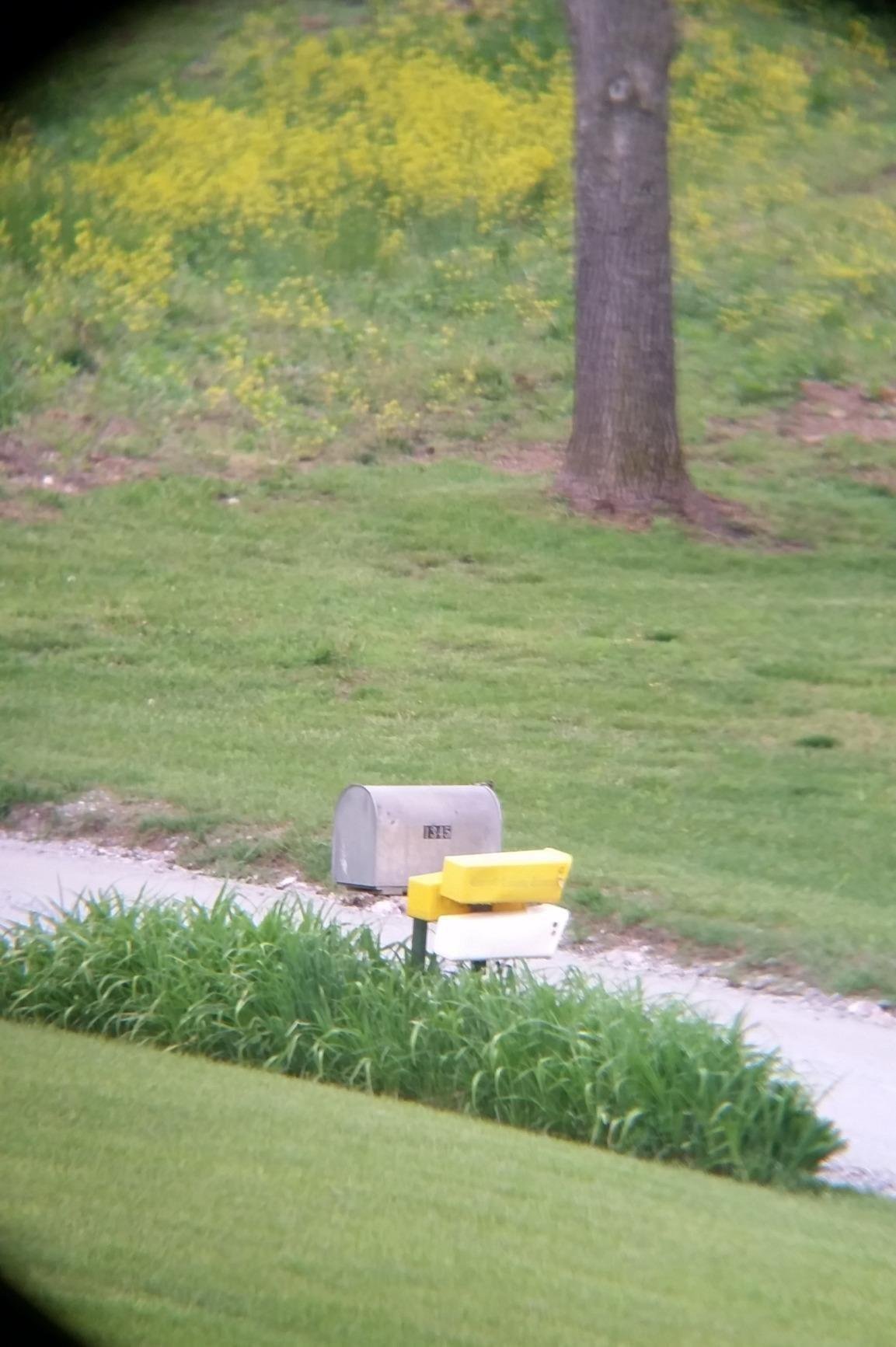 Celestron SkyMaster 25x70 Binoculars - Powerful Binoculars for Detailed Long-Distance Viewing and Binocular Astronomy - Multi-Coated Optics - Tripod Adapter & Carrying Case customer photo 2