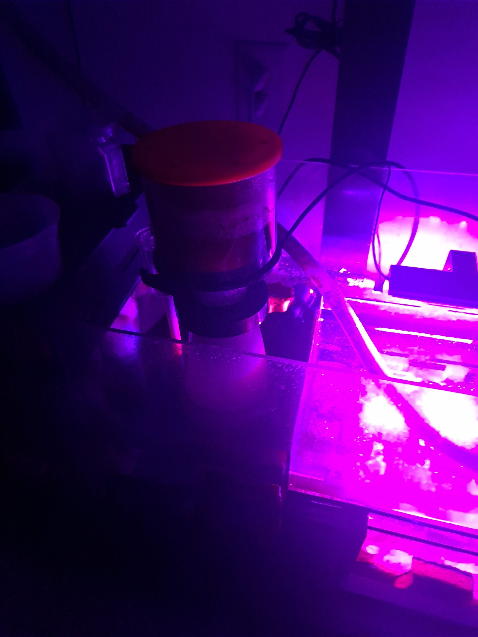 Reef Octopus Classic 110-INT Needle Wheel Protein Skimmers for Aquarium customer photo 2