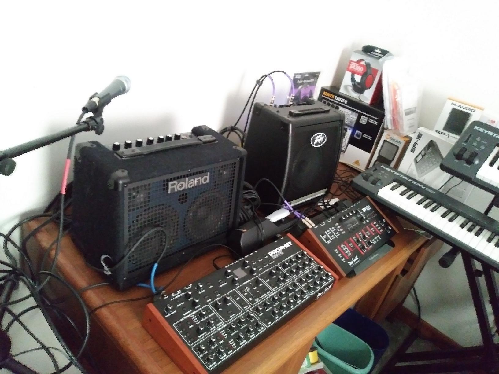 Peavey KB 3 60-Watt 1x12 Keyboard Amp customer photo 2