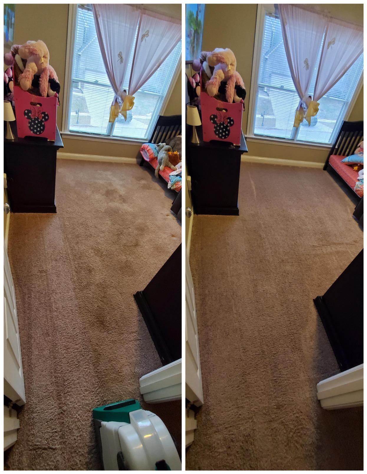 BISSELL Big Green Professional Carpet Cleaner with XL DirtLifter PowerBrush, 9-inch Long Reach Hose, 6-inch Tough Stain Tool, Includes BISSELL PRO MAX Formula with Stain Protect Technology customer photo 1