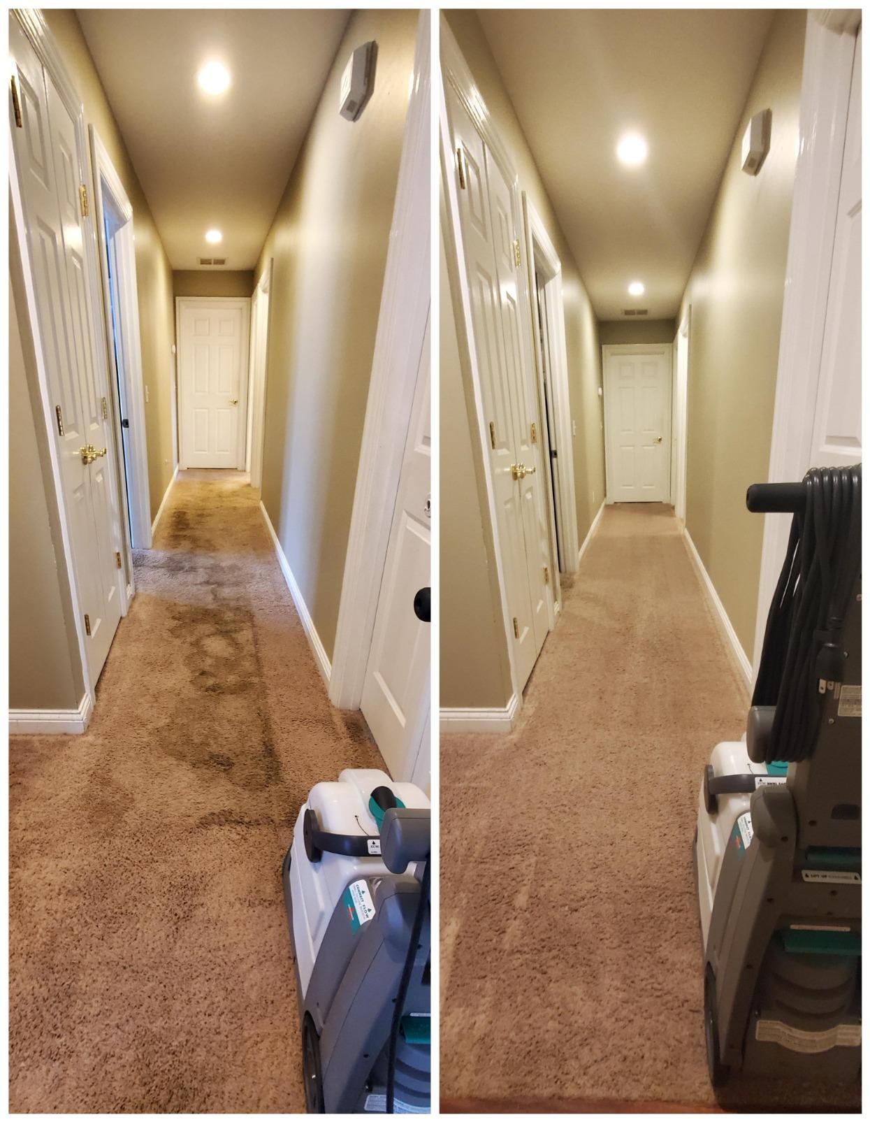 BISSELL Big Green Professional Carpet Cleaner with XL DirtLifter PowerBrush, 9-inch Long Reach Hose, 6-inch Tough Stain Tool, Includes BISSELL PRO MAX Formula with Stain Protect Technology customer photo 2