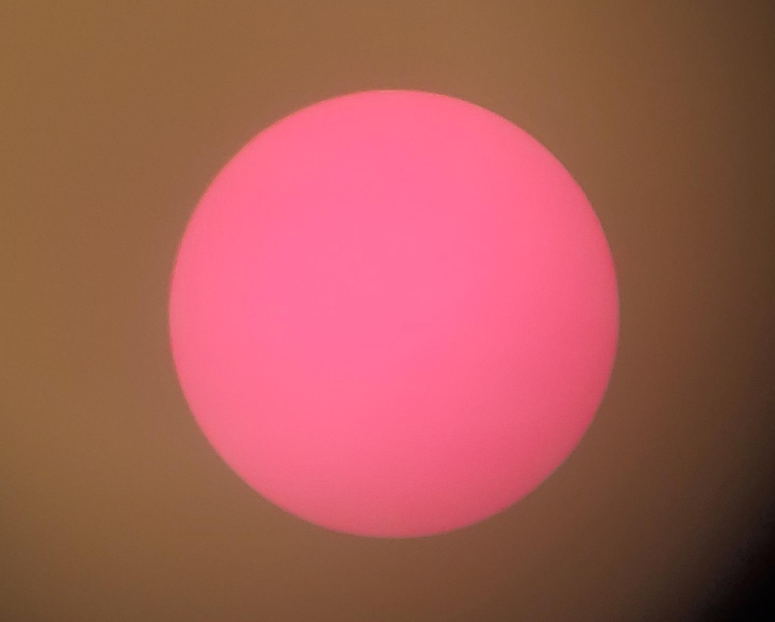 Celestron Regal M2 65ED Spotting Scope - ED Glass for Birding and Outdoor Activities - Phase and Dielectric Coated BaK-4 Prism - Fully Multi-Coated Optics - Dual Focus - 16-48x Zoom Eyepiece customer photo 1