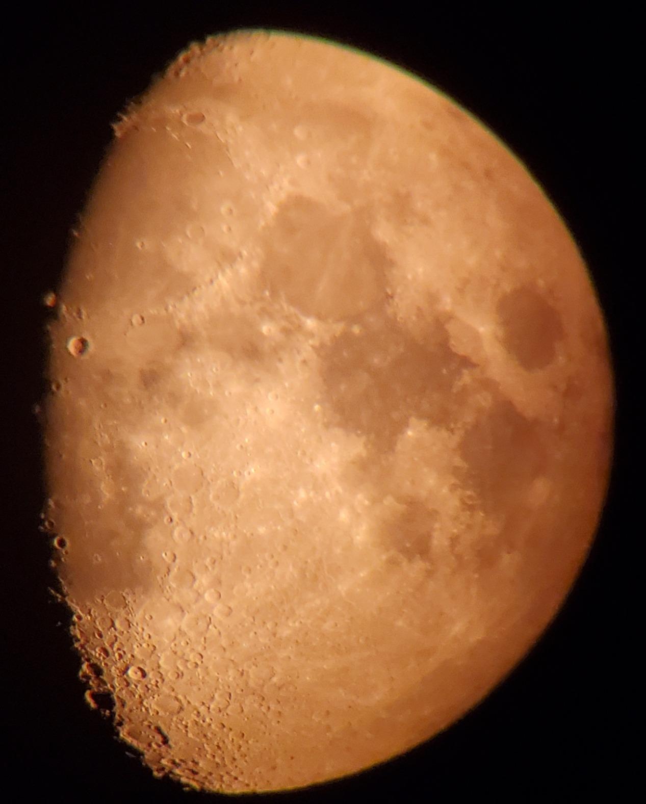 Celestron Regal M2 65ED Spotting Scope - ED Glass for Birding and Outdoor Activities - Phase and Dielectric Coated BaK-4 Prism - Fully Multi-Coated Optics - Dual Focus - 16-48x Zoom Eyepiece customer photo 2