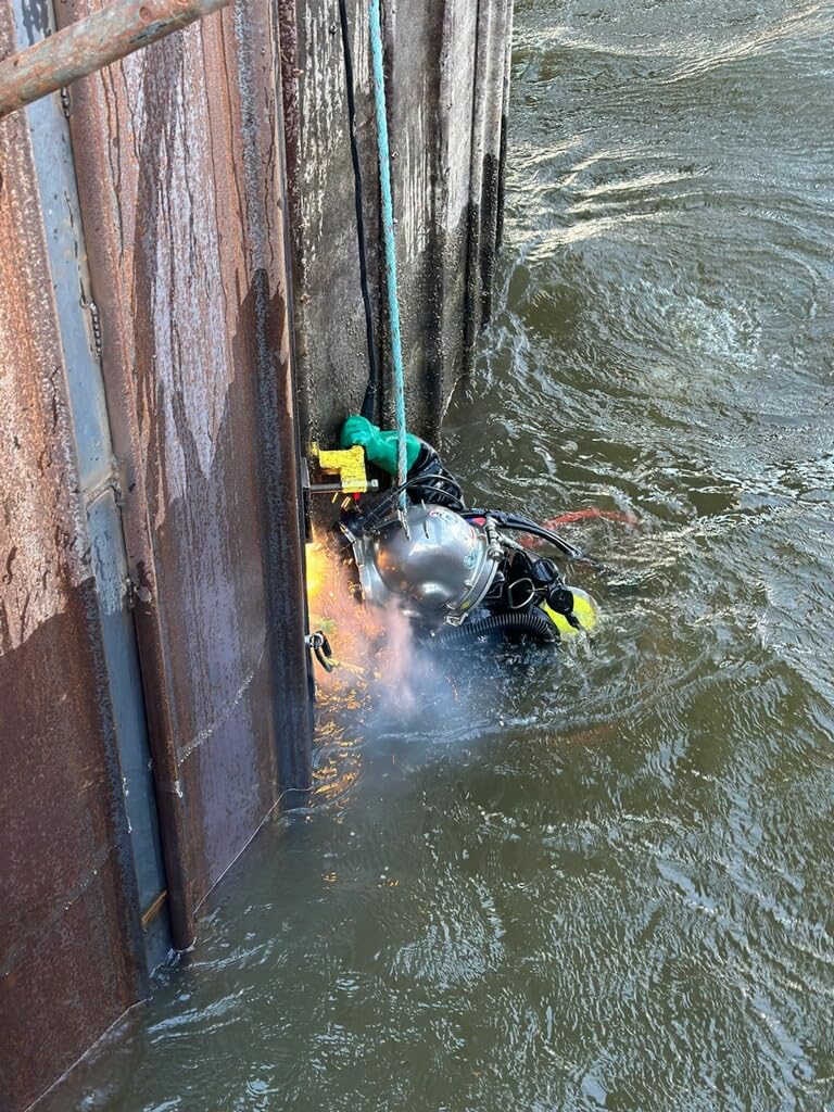 O'Neill Women's Epic 4:3mm Back Zip Full Wetsuit, Durable Warmth with Good Flexibility for Surfing and All Water Activities customer photo 1