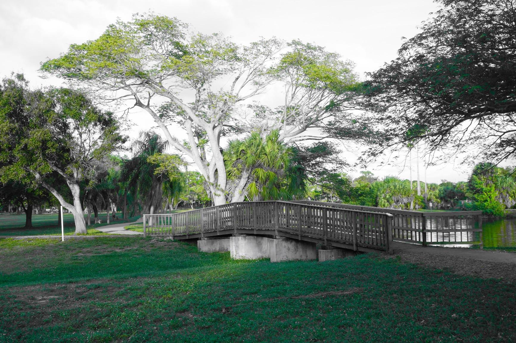 Sony RX100 II 20.2 MP Premium Compact Digital Camera w/ 1-inch Sensor, MI (Multi-Interface) Shoe and tilt LCD Screen (DSCRX100M2/B) customer photo 1