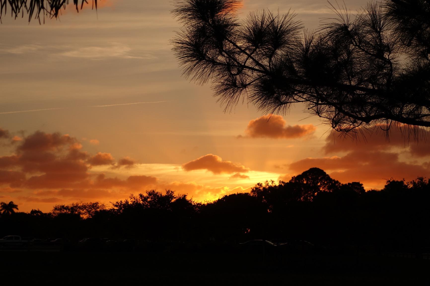 Sony RX100 II 20.2 MP Premium Compact Digital Camera w/ 1-inch Sensor, MI (Multi-Interface) Shoe and tilt LCD Screen (DSCRX100M2/B) customer photo 2