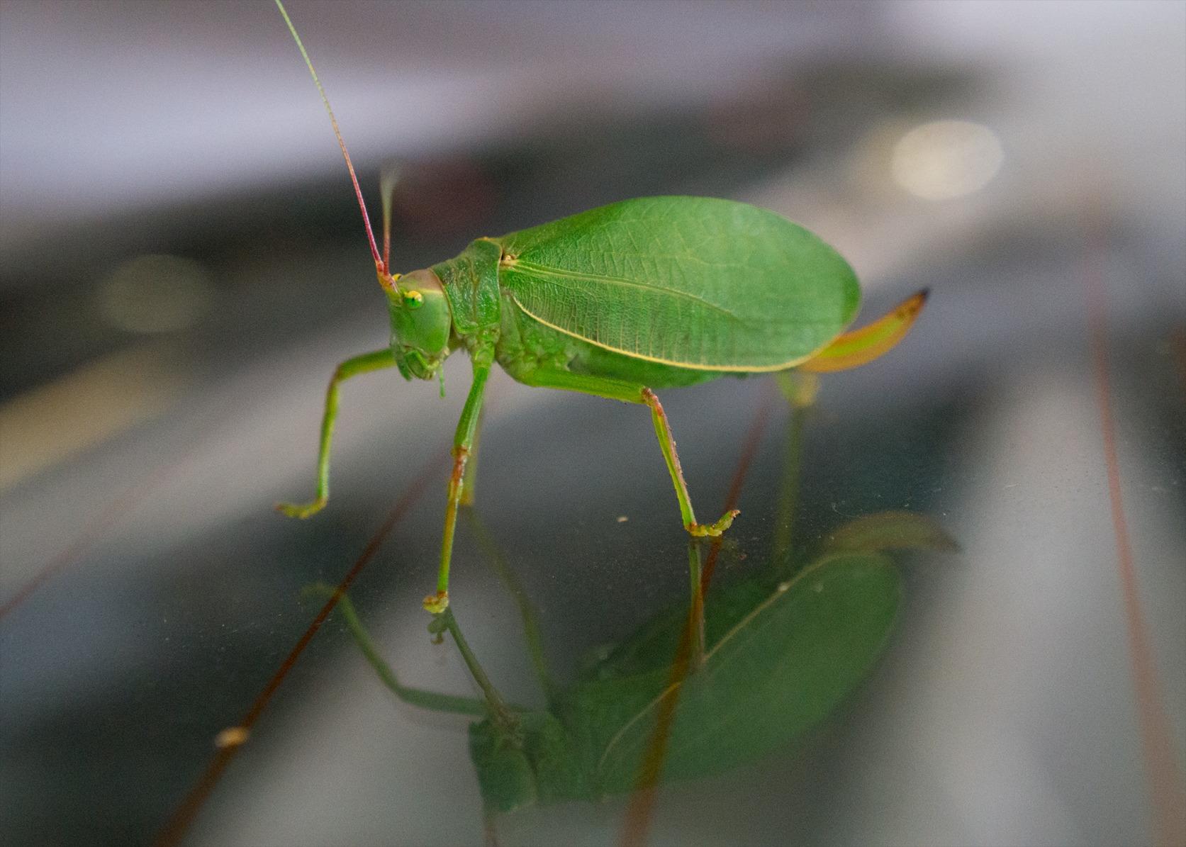 Sony Alpha a3000 ILCE-3000K 20.1 MP Mirrorless Digital Camera - Black - 18-55mm OSS Lens customer photo 1