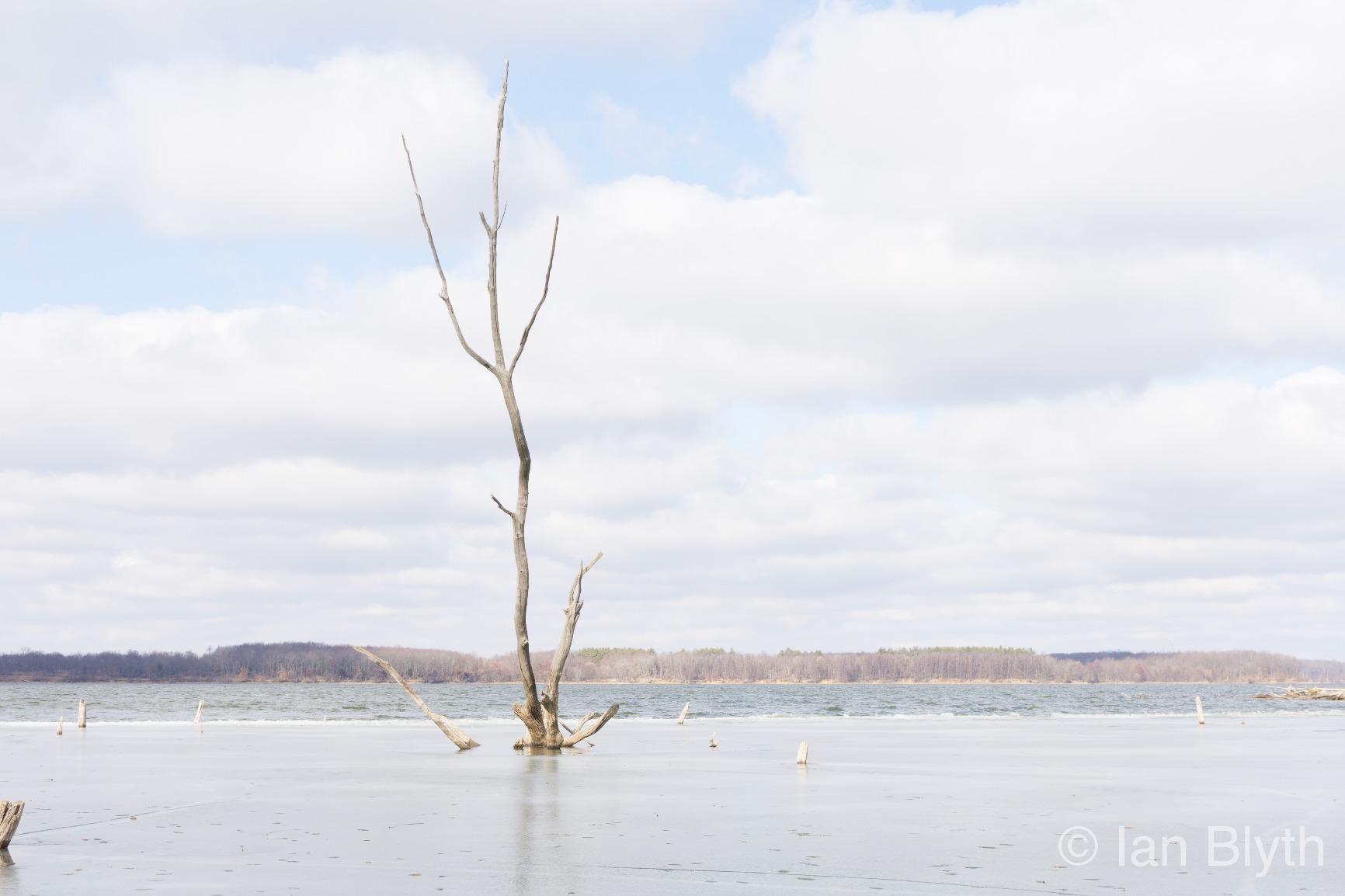 Sony Alpha a6000 Mirrorless Digital Camera 24.3MP with 16-50mm Power Zoom Lens customer photo 2