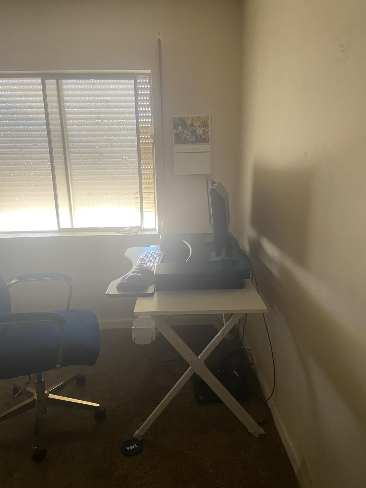 Vari VariDesk Pro Plus 36 - Adjustable Desk Converter with 11 Height Settings - Laptop Sit Stand Desk Riser for Home Office, Table Tops, Workspace - Fully Assembled with Spring Loaded Lift - Black customer photo 2