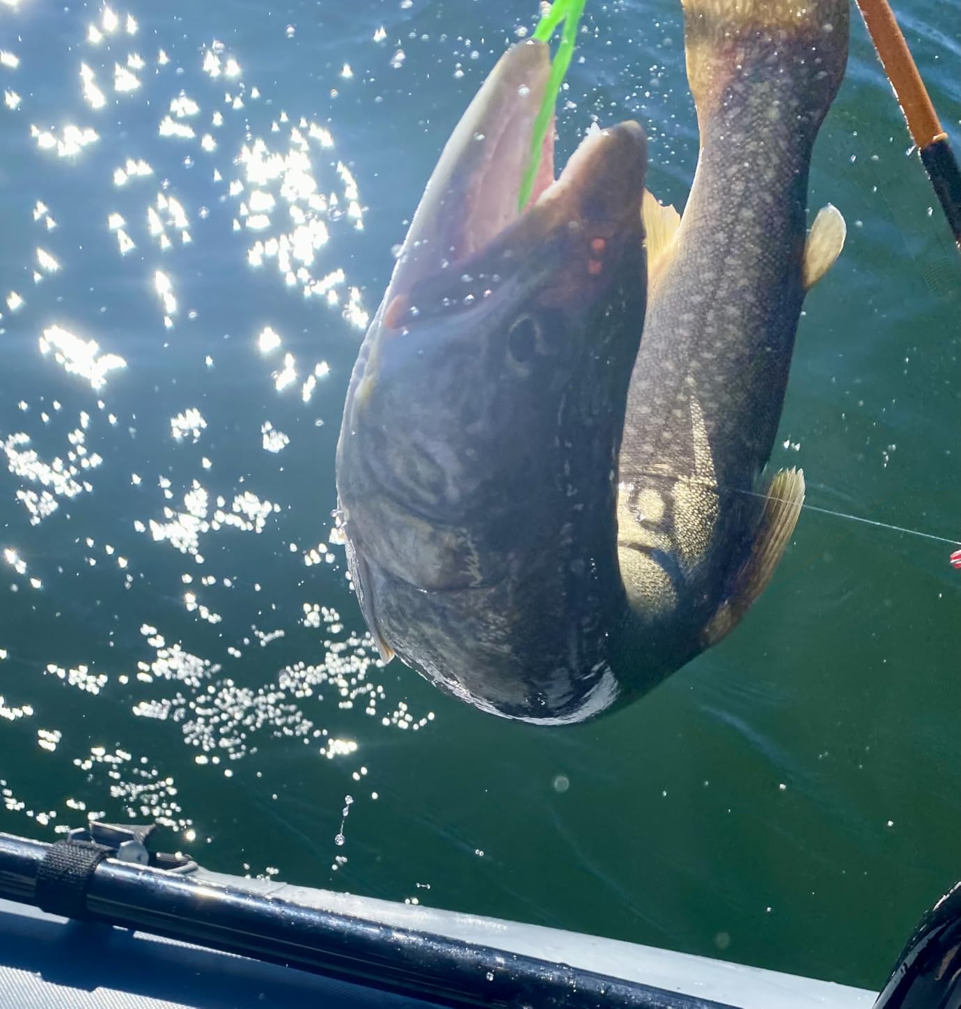 Reelsonar iBobber portable wireless bluetooth fish finder depth finder with depth range of 135 feet 10+ hrs battery life with IOS & Android App Wireless and Watch App customer photo 1