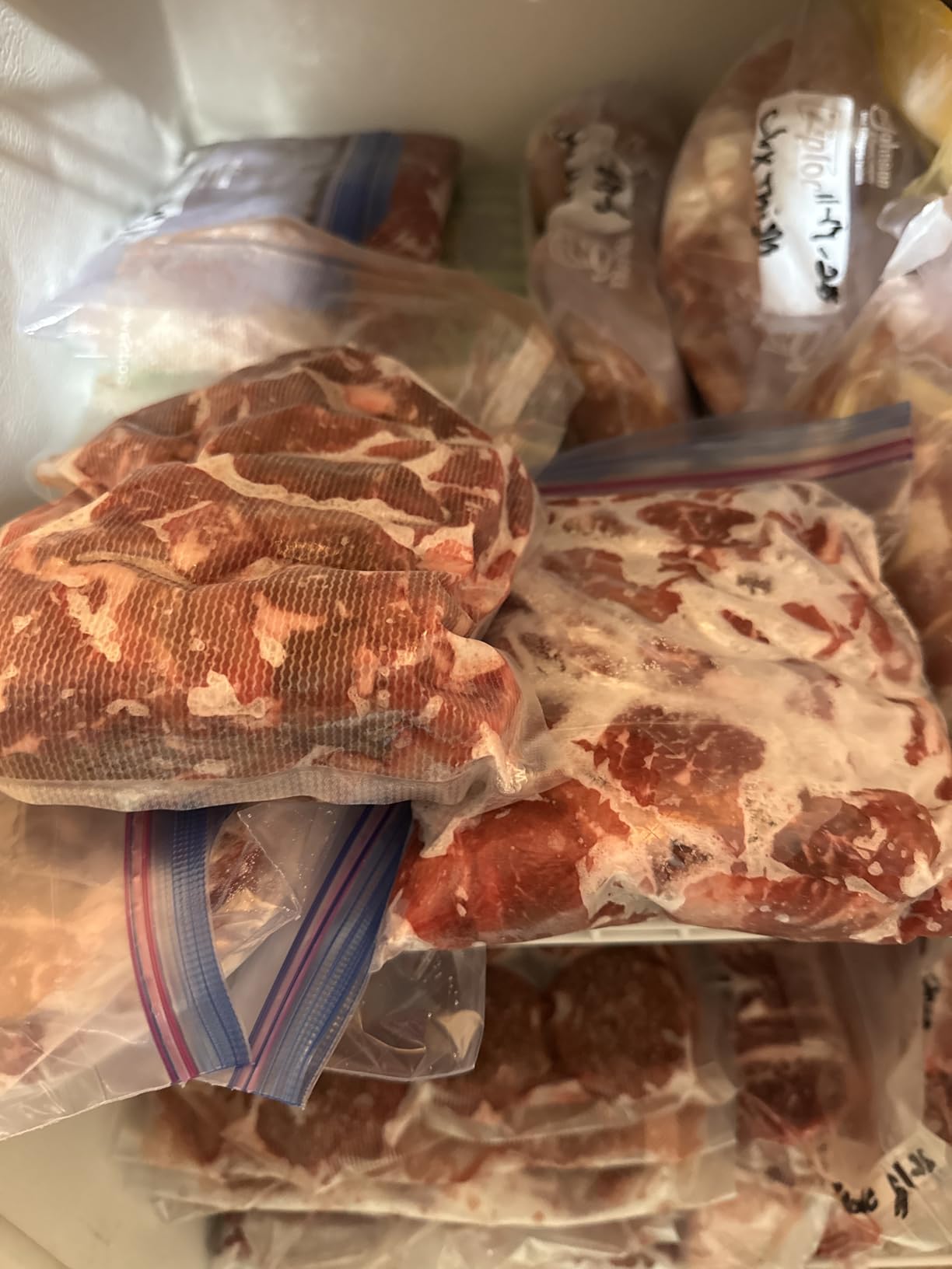 FoodSaver V4400 2-in-1 Vacuum Sealer Machine with Automatic Vacuum Sealer Bag Detection and Starter Kit customer photo 1