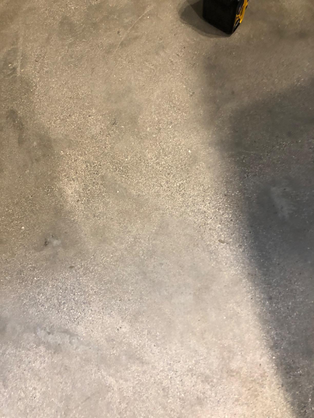 DEWALT DWV010 HEPA Dust Extractor with Automatic Filter Cleaning, 8-Gallon customer photo 2