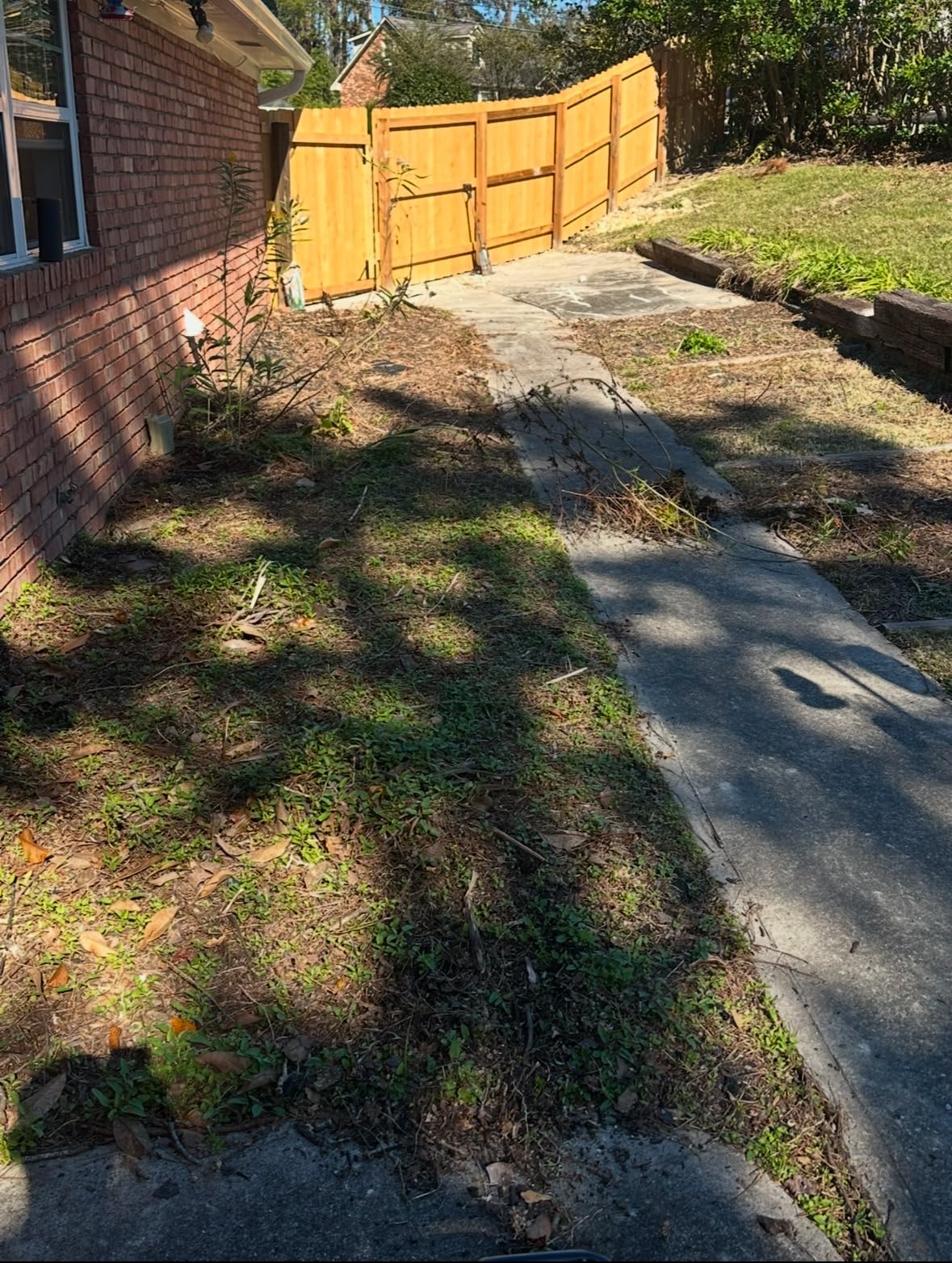 LawnMaster TE1216M Electric Tiller 12-Amp, 16-Inch customer photo 2