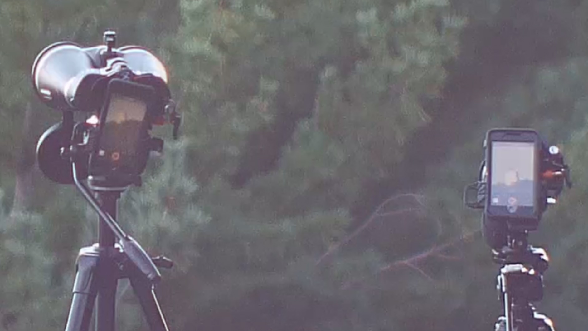 Celestron - SkyMaster Pro 20x80 Binocular - Outdoor and Astronomy Binocular - Large Aperture for Long Distance Viewing - Fully Multi-Coated XLT Coating - Tripod Adapter and Carrying Case Included customer photo 1