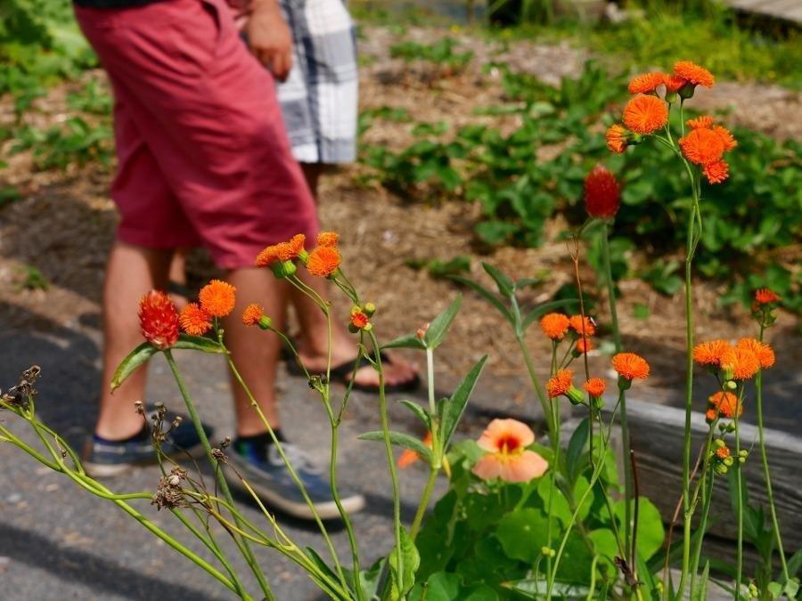 Panasonic LUMIX G7 4K Digital Camera, with 14-42mm Mega O.I.S. Lens, 16 Megapixel Mirrorless Camera, 3-Inch LCD, DMC-G7KK (Black) customer photo 2