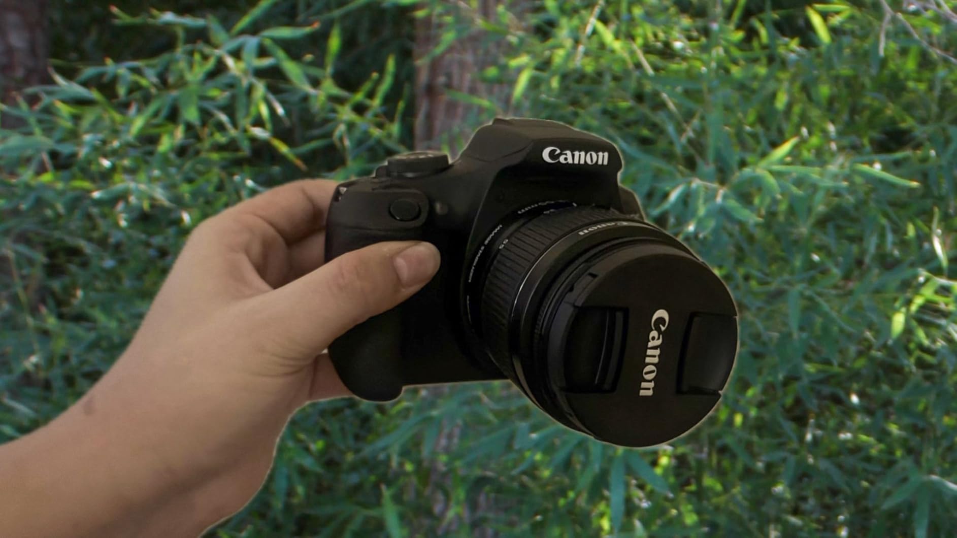 Canon EOS Rebel T7 DSLR Camera|2 Lens Kit with EF18-55mm + EF 75-300mm Lens, Black customer photo 1