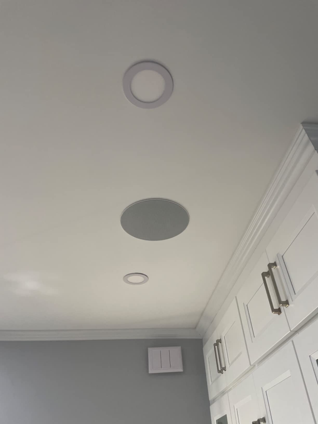 Bose Virtually Invisible 791 in-Ceiling Speaker II (White) customer photo 2