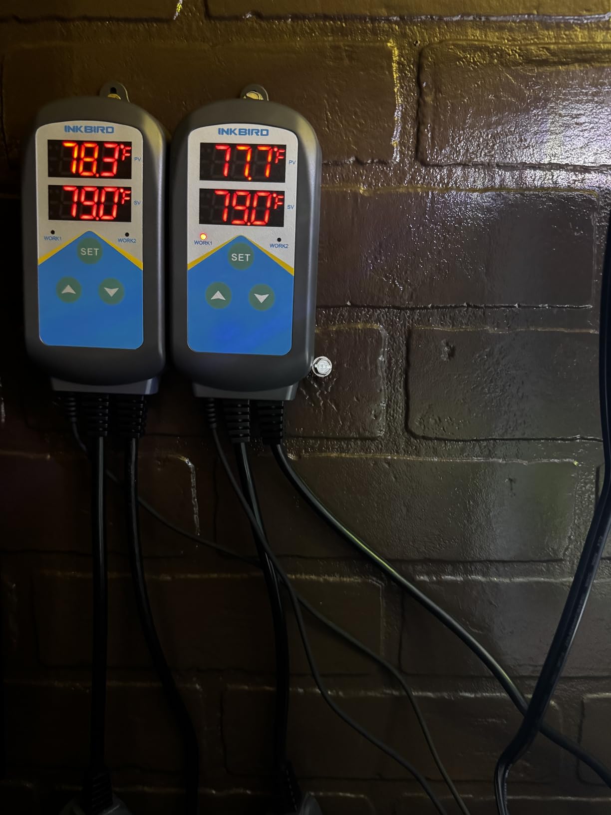 Inkbird ITC-306T Pre-Wired Electronic Heating Thermostat Temperature Controller and 24 Hours Digital Day & Night Cycle Timer Controller for Seed Germination Reptiles Hatching customer photo 2