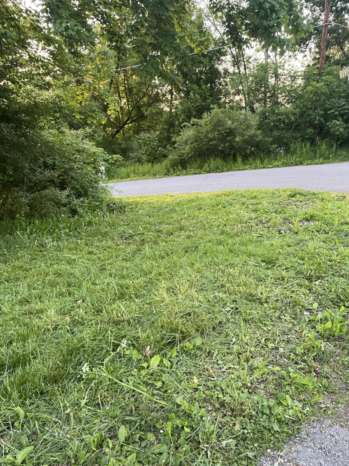 WORX Cordless String Trimmer & Lawn Edger, 12'' Electric Weed Wacker with 5.5 LBS, 20V Weed Eater with 90° Pivoting Head, 2 Batteries & Charger Included, WG163 customer photo 1