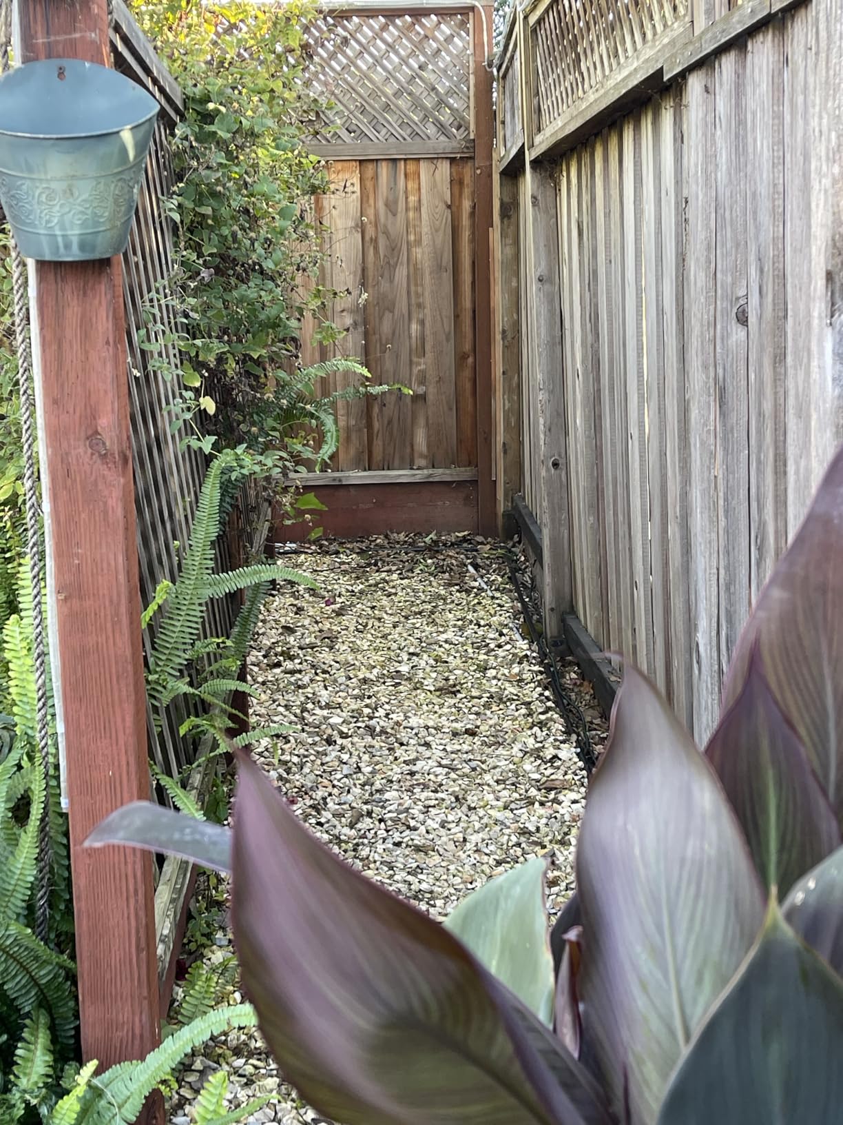 Pyle 6.5-Inch Wall Mount Waterproof Bluetooth Speaker System - Indoor/Outdoor Audio Pair with Built-in Digital Amplifier, Weather-Resistant Housing, High-Power Sound, Easy Installation (Black) customer photo 1