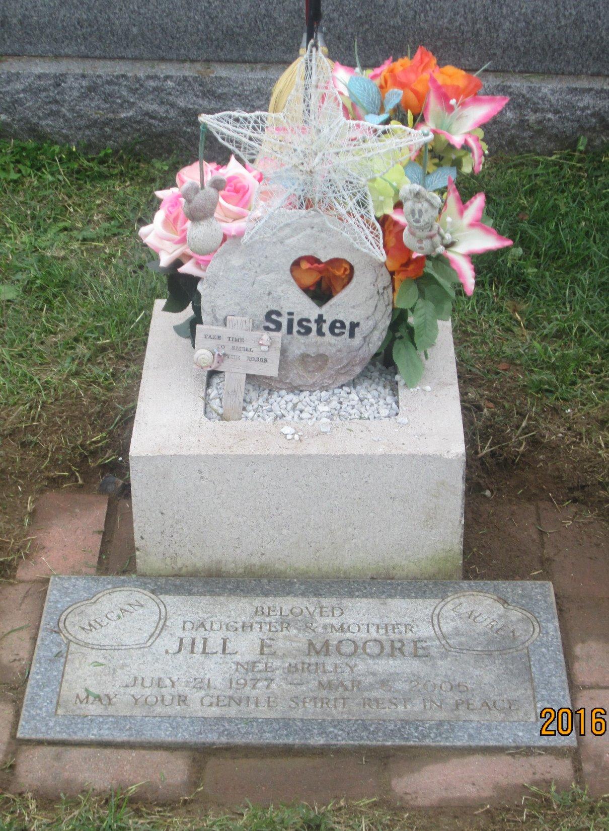 BLACK+DECKER 20V MAX 12 Inch Weed Eater Cordless String Trimmer and Wheeled Edger Lawn Tool with Spool, 2.5Ah Battery and Charger Included, Lightweight, 2 Speed PowerDrive (LST522) customer photo 2