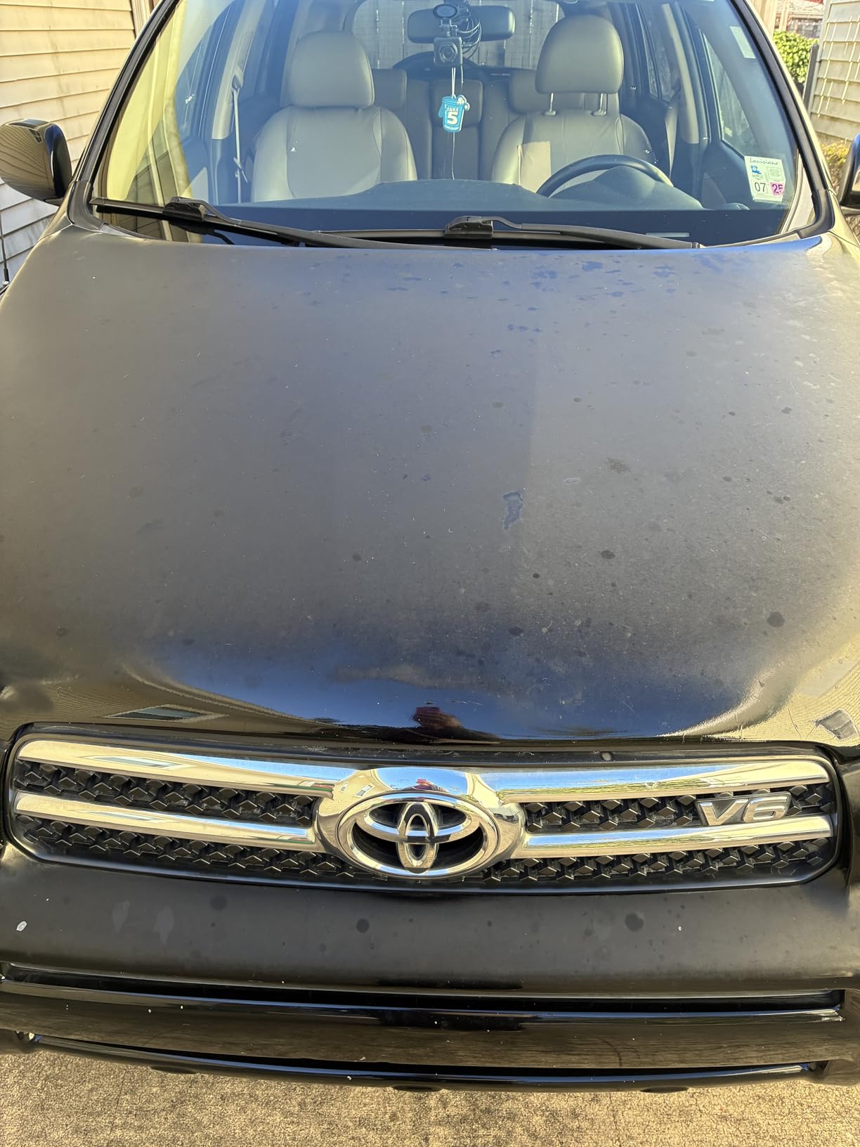 Chemical Guys TORQX Dual Action Random Orbital Polisher for Cars - Professional Car Buffer for Trucks and SUVs - 700W Motor, 8mm Orbit, Lightweight 4.7 lb Design, Paint Correction customer photo 1