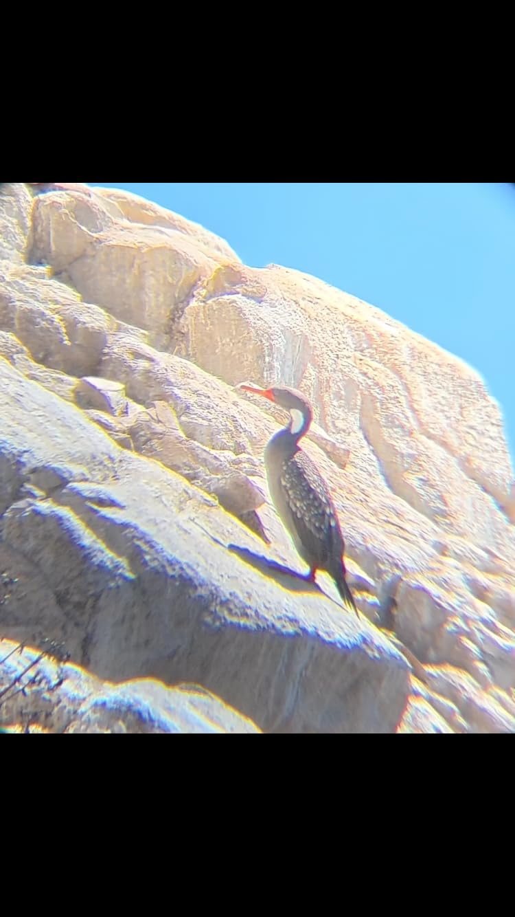 Bushnell Trophy Xtreme Spotting Scope customer photo 2