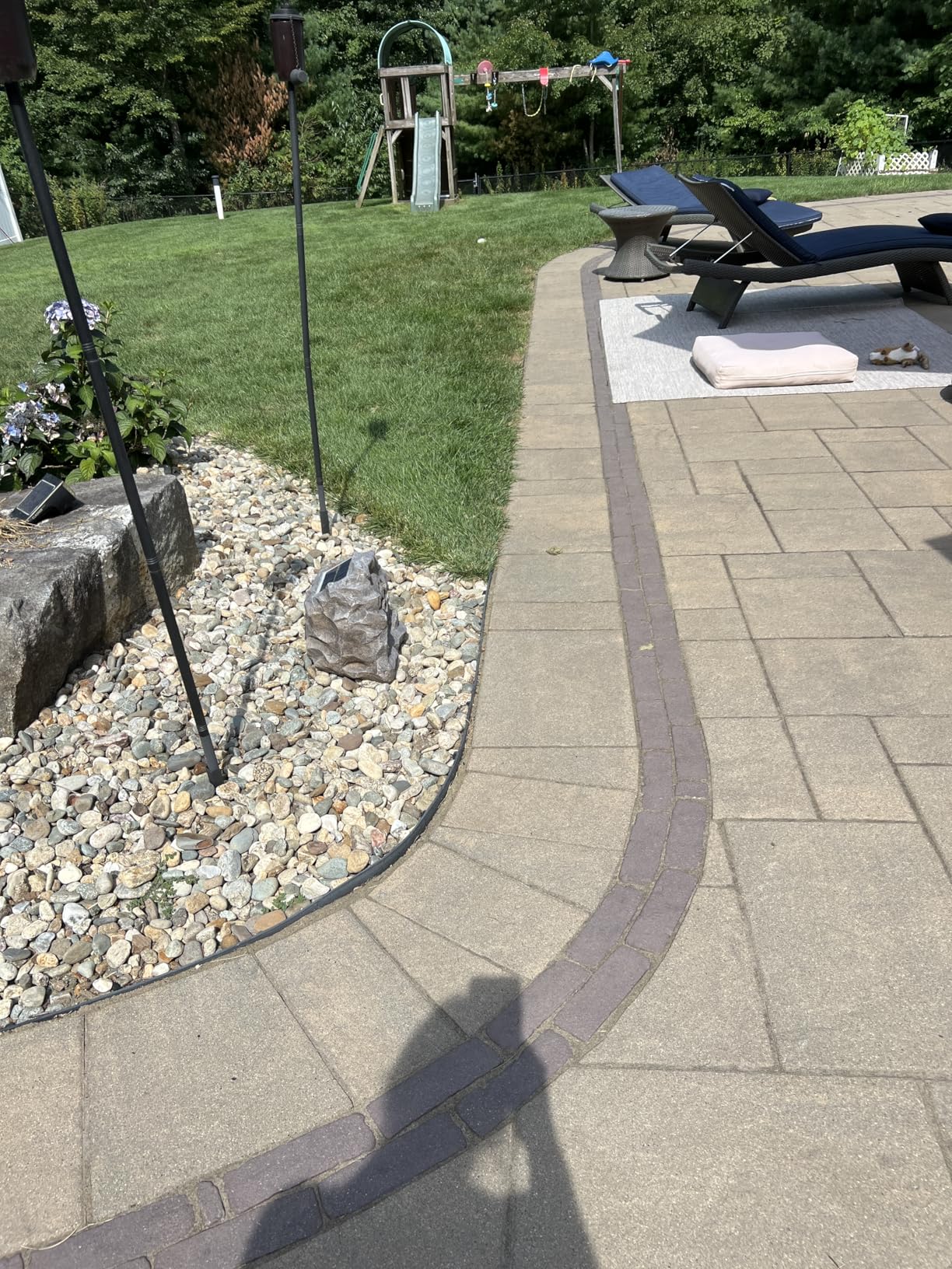 Alpine Corporation 11