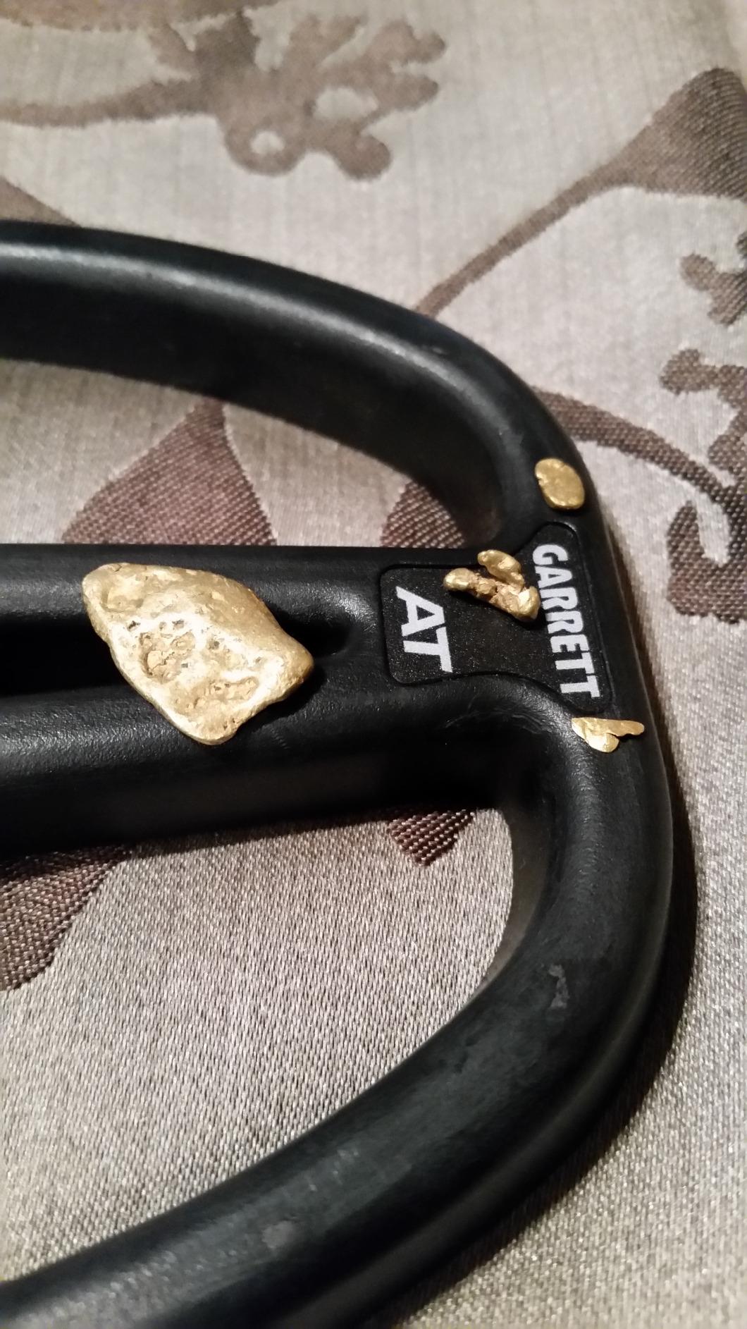 Garrett A.T. Gold - Made in The USA - Waterproof Gold Metal Detector for Adults with Headphones - Iron Audio to Identify Junk Iron, Pinpoint Mode customer photo 1