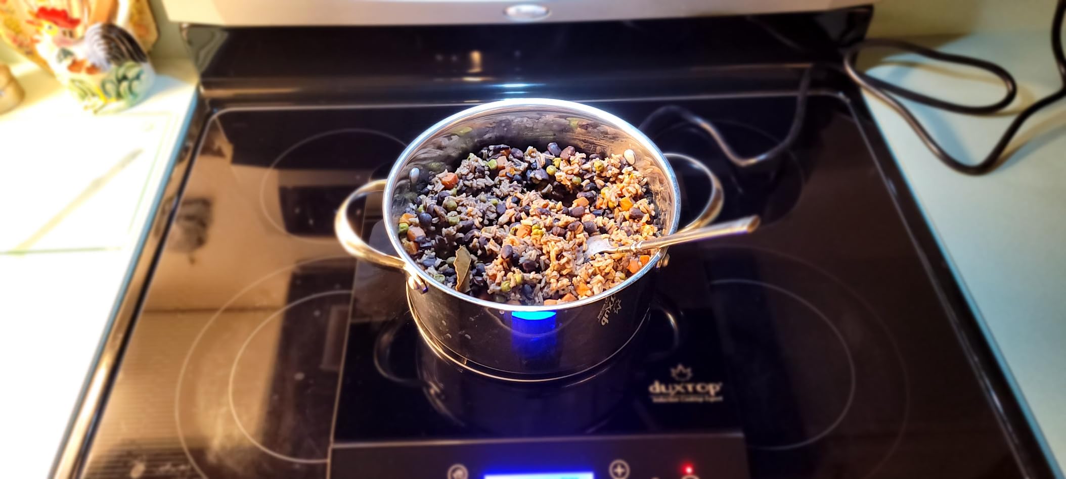 Duxtop Portable Induction Cooktop, Countertop Burner Induction Hot Plate with LCD Sensor Touch 1800 Watts, Silver 9600LS BT-200DZ customer photo 2