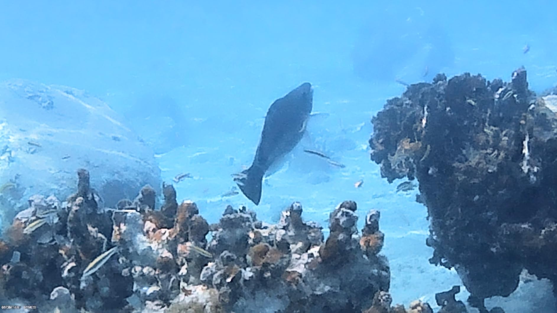 AKASO EK7000 4K30FPS 20MP WiFi Action Camera with EIS Ultra HD 131FT Waterproof Underwater Camera Remote Control 4X Zoom Support External Microphone customer photo 2