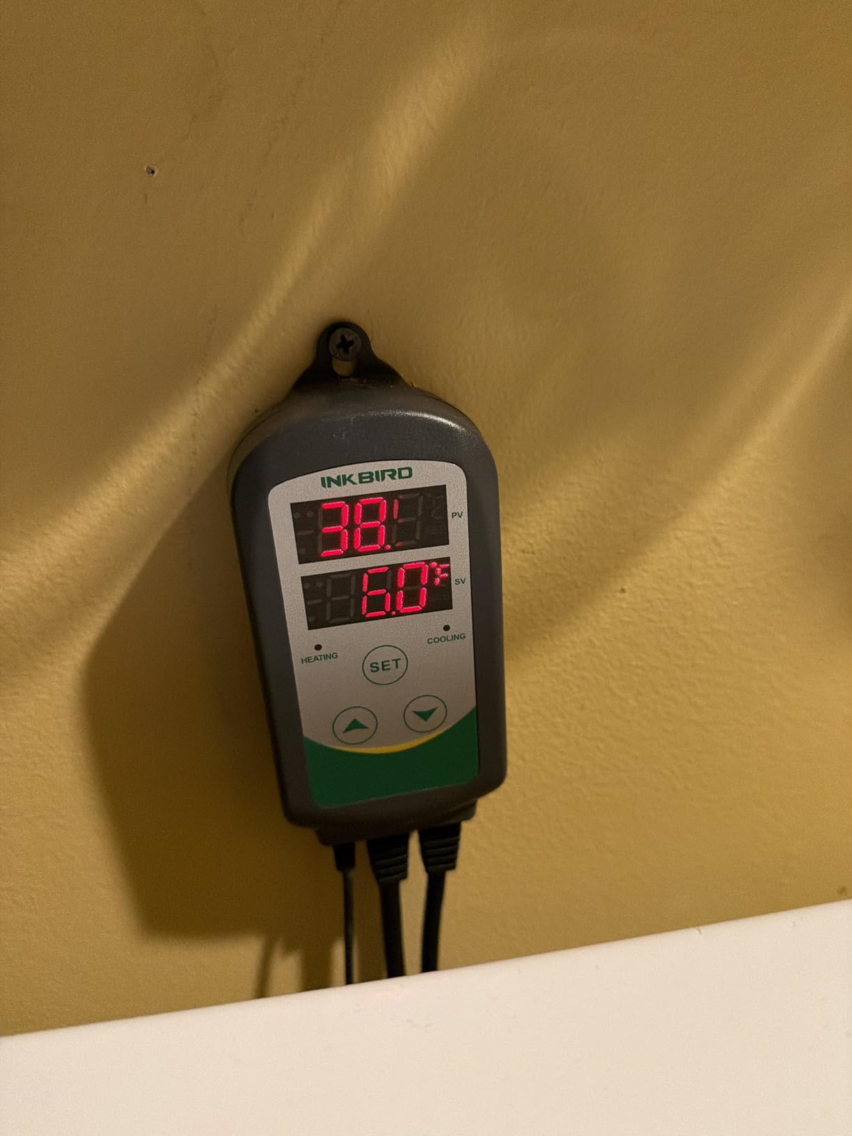 Inkbird ITC-308 Digital Temperature Controller 2-Stage Outlet Thermostat Heating and Cooling Mode Carboy Homebrew Fermenter Greenhouse Terrarium 110V 10A 1100W customer photo 1