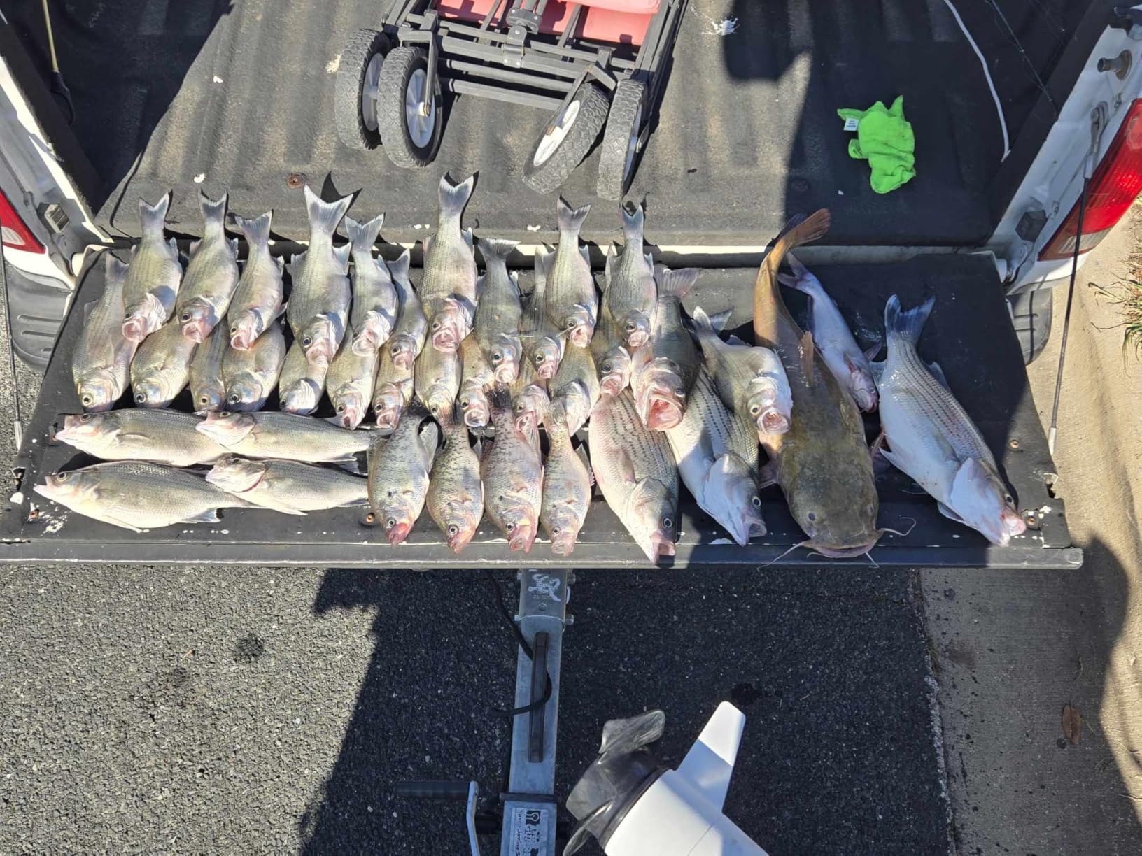 SAMDO IP68 12V LED Underwater Fishing Light 1080 Lumens Fish Attracting Light, Night Fishing Light 10.8W customer photo 1