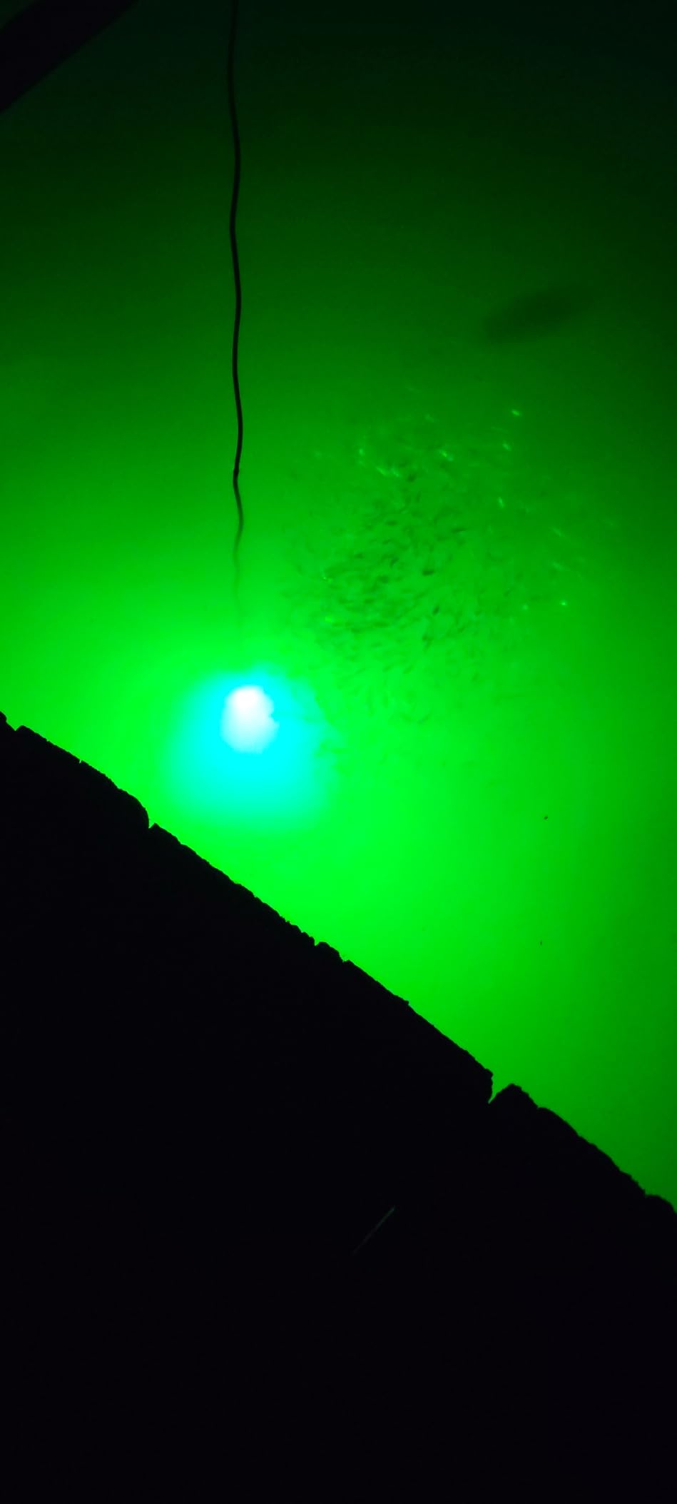 SAMDO IP68 12V LED Underwater Fishing Light 1080 Lumens Fish Attracting Light, Night Fishing Light 10.8W customer photo 2