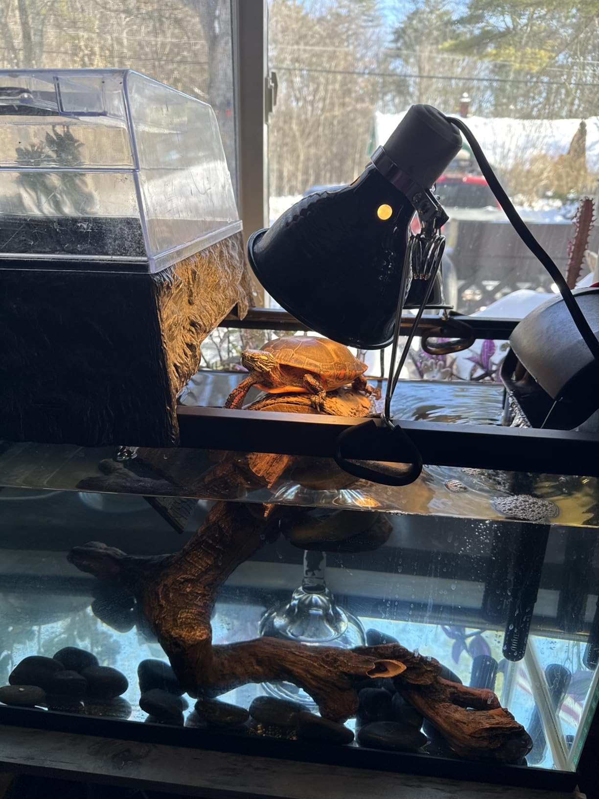 Tetra Whisper IQ Power Filter 20 Gallons, 130 GPH, with Stay Clean Technology customer photo 1