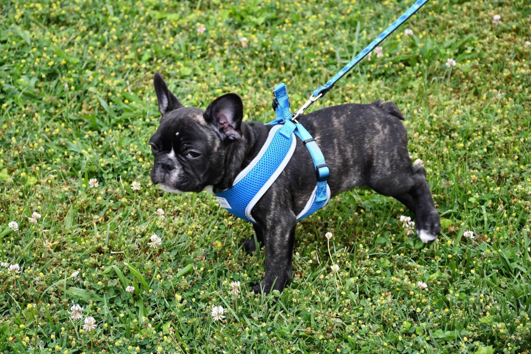 Nikon D7500 20.9MP DSLR Camera with AF-S DX NIKKOR 18-140mm f/3.5-5.6G ED VR Lens, Black customer photo 1