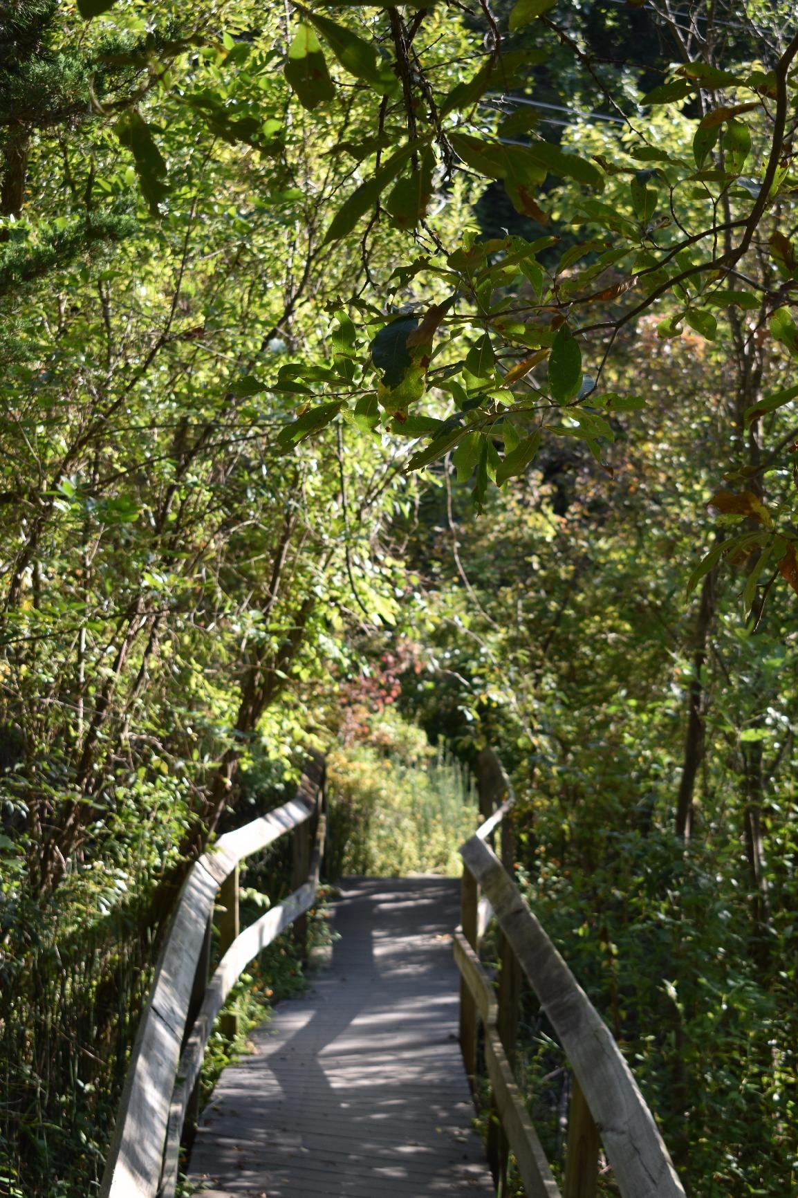 Nikon D3400 Digital SLR Camera & 18-55mm VR DX AF-P Zoom Lens (Black) - (Renewed) customer photo 1