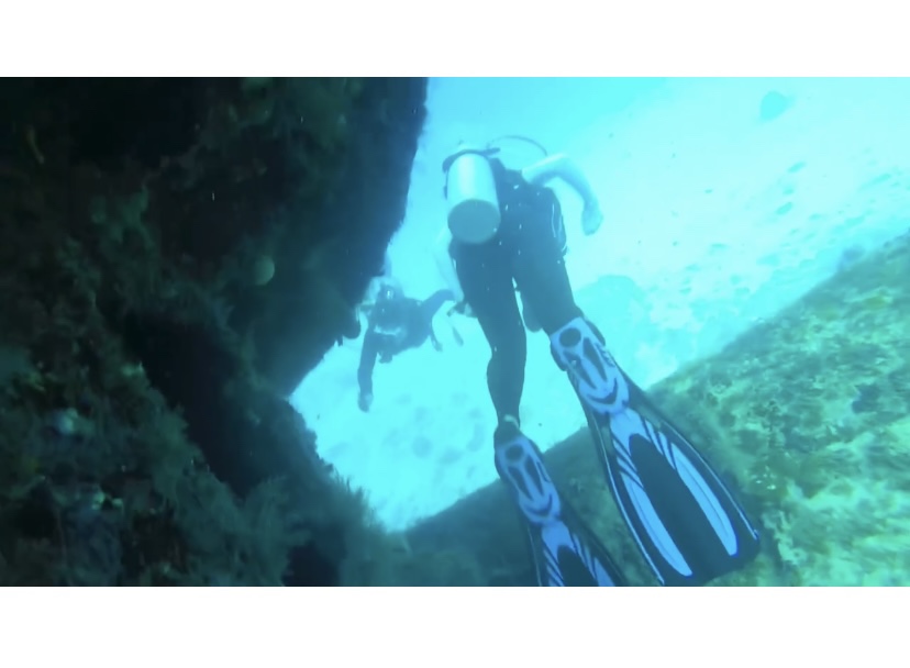 O'Neill Women's Reactor-2 3:2mm Back Zip Full Wetsuit, Lightweight Warmth and Flexibility for All Water Activities customer photo 1