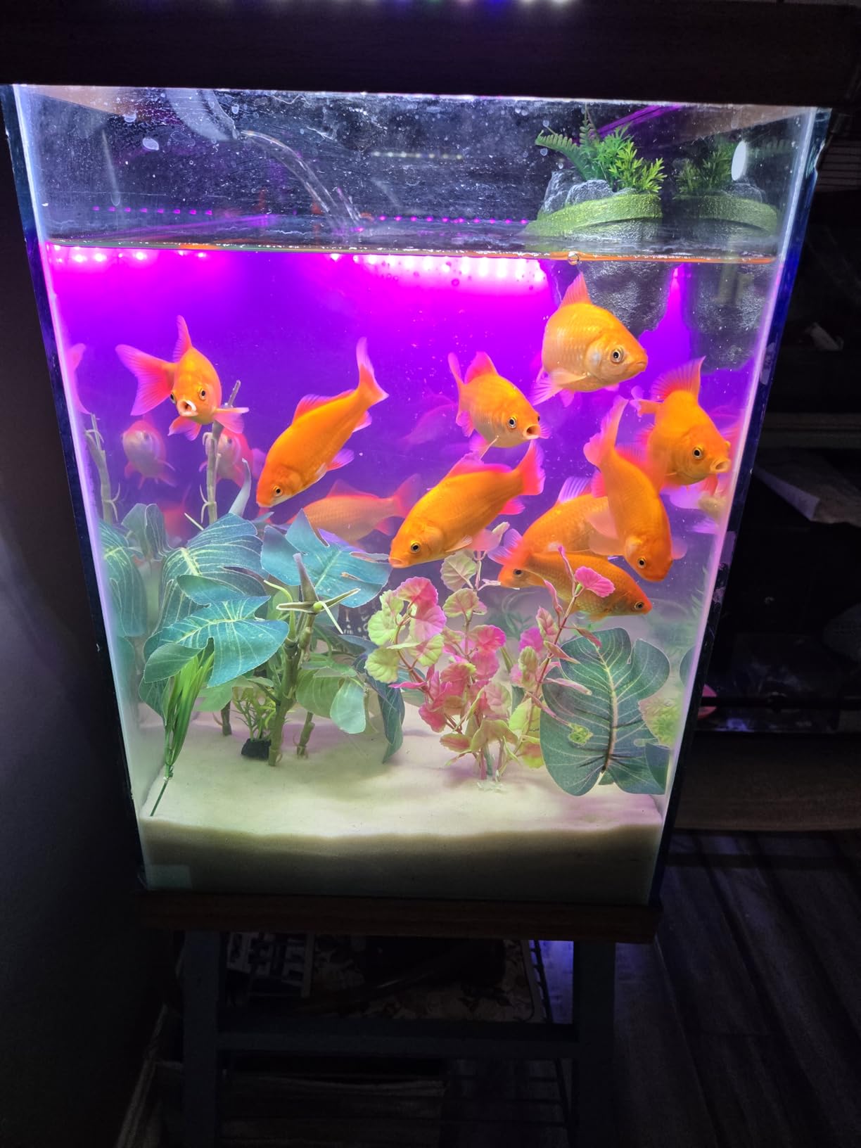 Aqueon QuietFlow Canister Aquarium Filter up to 55 Gallons customer photo 1