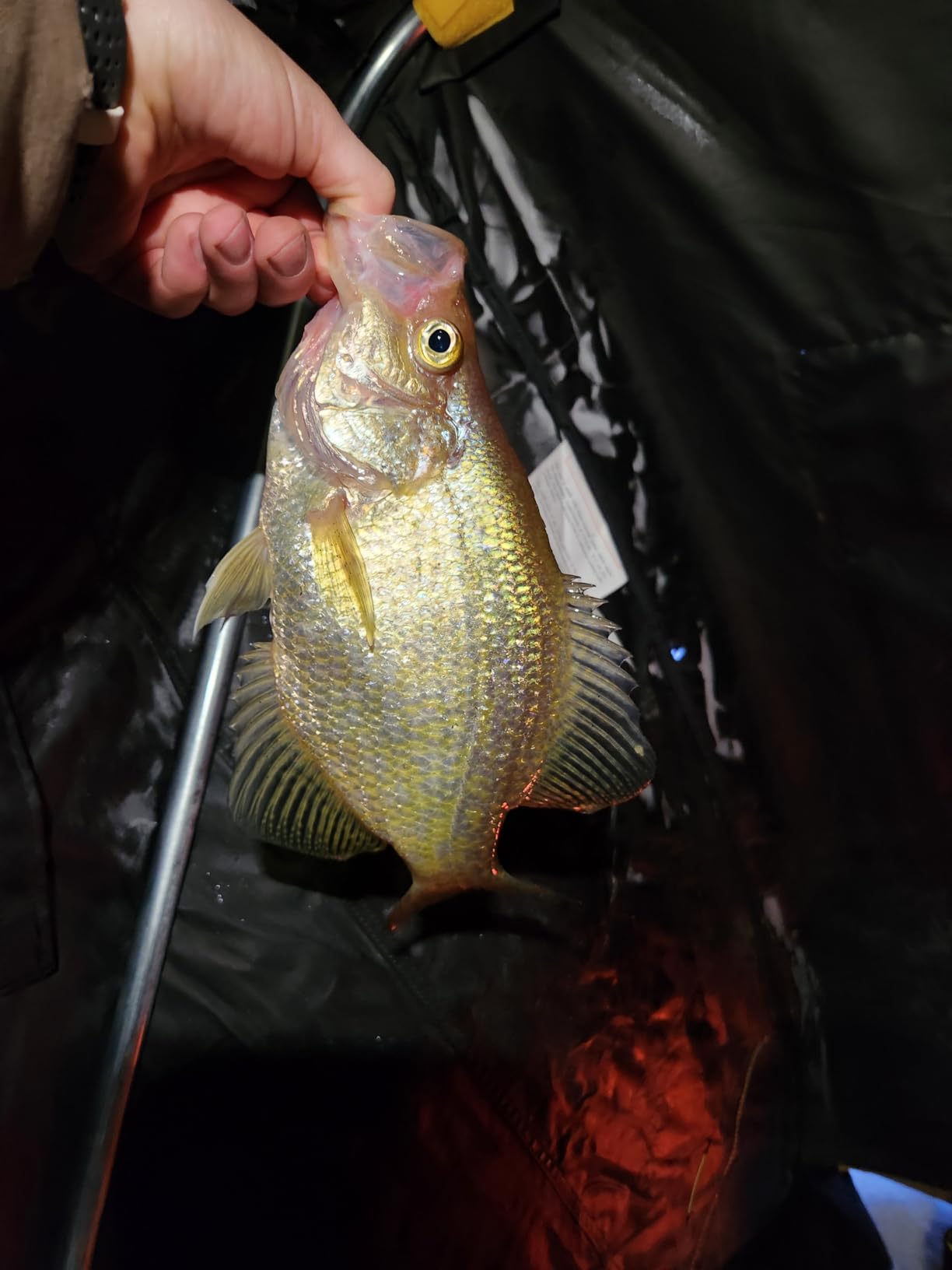 MarCum M1 Flasher System | High-Definition Ice Fishing Flasher | Advanced Fish Finder & Sonar System | Premium Fishing Electronics customer photo 1