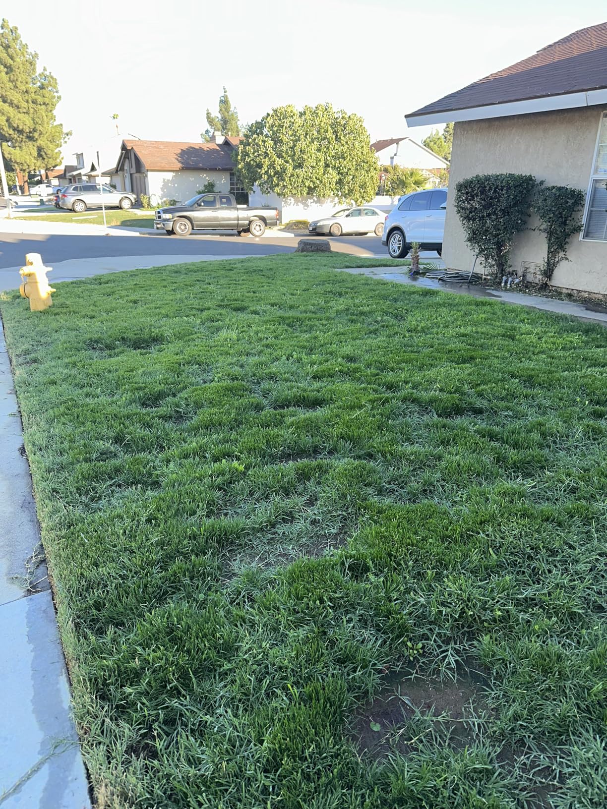 BLACK+DECKER Weed Wacker with Auto Feed, 14-Inch 2 in 1 String Trimmer Lawn Edger, Powerful 6.5-Amp Lightweight Electric Weed Eater (BESTA510) customer photo 1