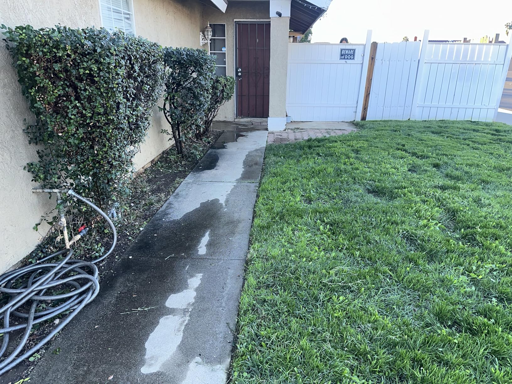 BLACK+DECKER Weed Wacker with Auto Feed, 14-Inch 2 in 1 String Trimmer Lawn Edger, Powerful 6.5-Amp Lightweight Electric Weed Eater (BESTA510) customer photo 2